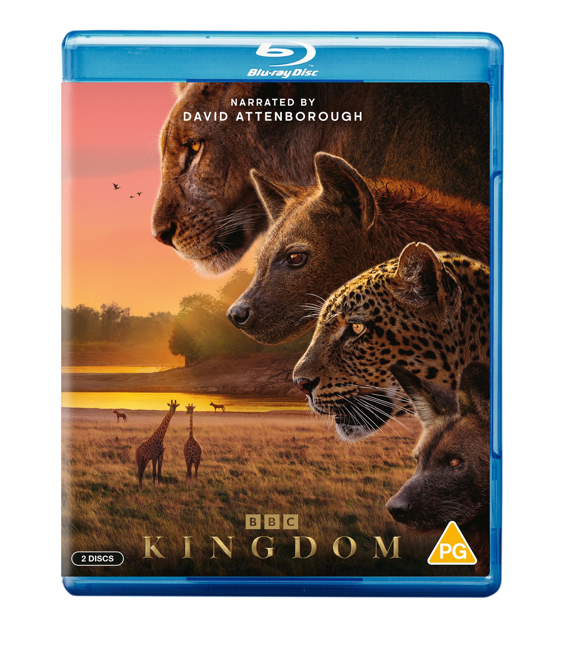 Kingdom