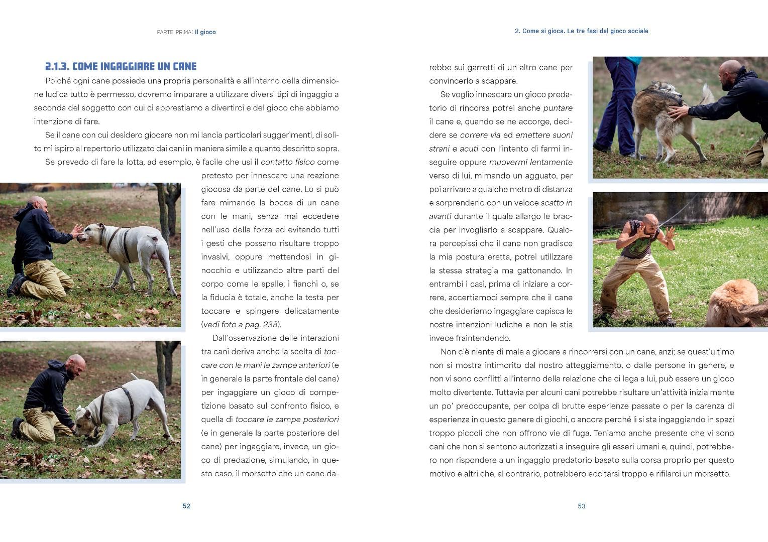 Giochiamo? Il primo manuale sul gioco dal punto di vista del cane