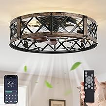 LEDIARY 20" Caged Ceiling Fan With Light, APP&Remote Control, Small Flush Mount Farmhouse Fan Lights, Low Profile Rustic Bladeless Ceiling Fan Fixtures For Bedroom, Kitchen-Black Gold Color
