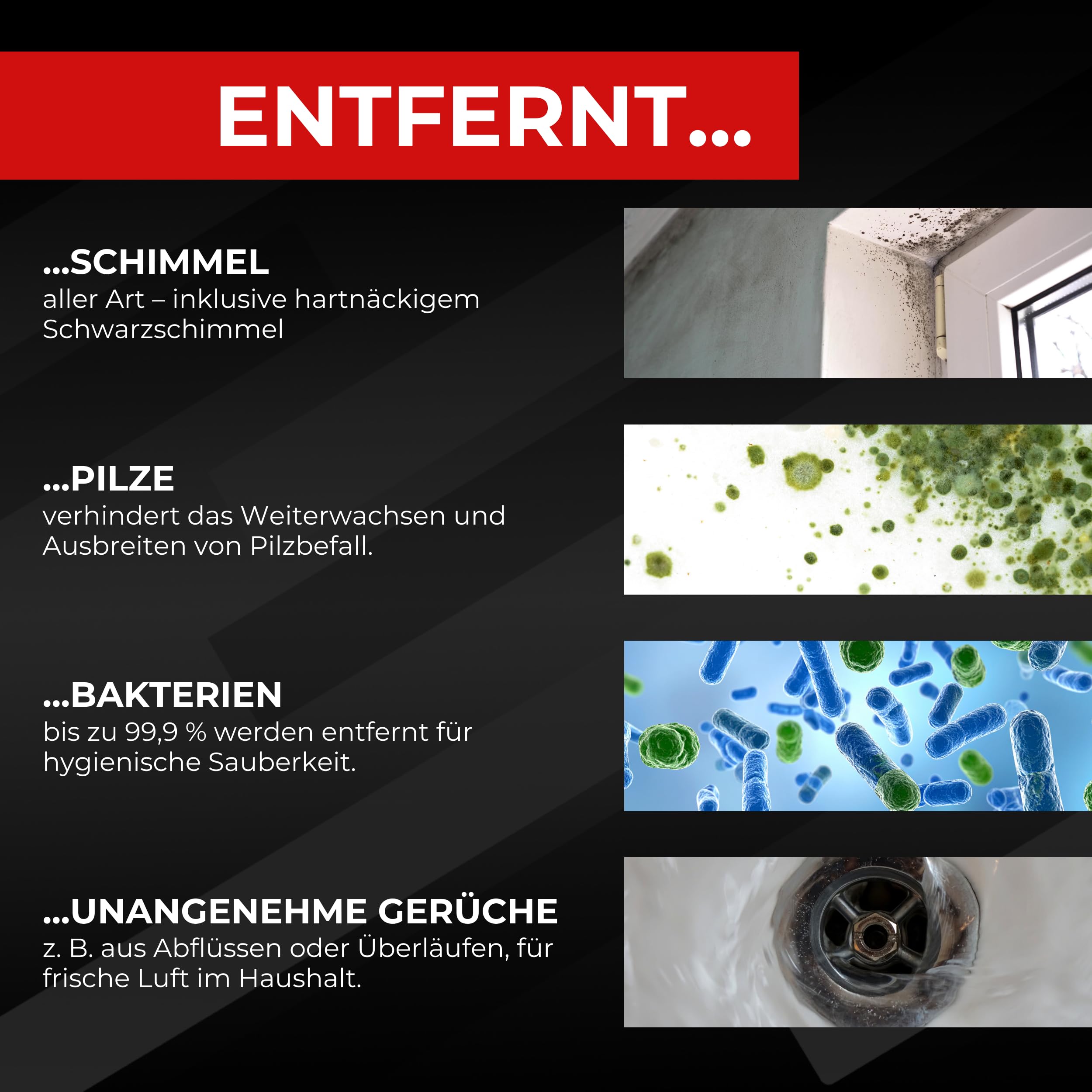 BRESTOL® Schimmelentferner 5 Liter, Anti Schimmel mit Sofortwirkung, Schimmel entferner Wand, für Silikonfugen & Fliesen, Langzeitschutz gegen Schimmel & Stockflecken