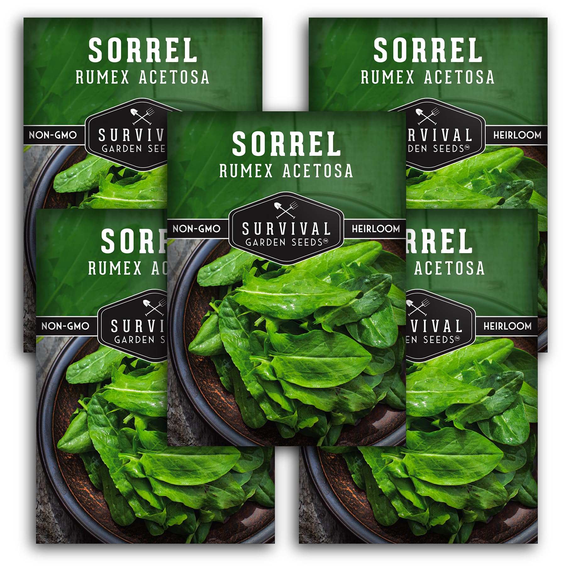 Sorrel Seeds for Planting - 5 Packs