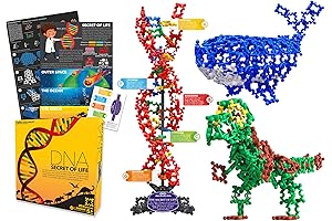 Unravel the Secrets of Life: Building Blocks of Evolution Science