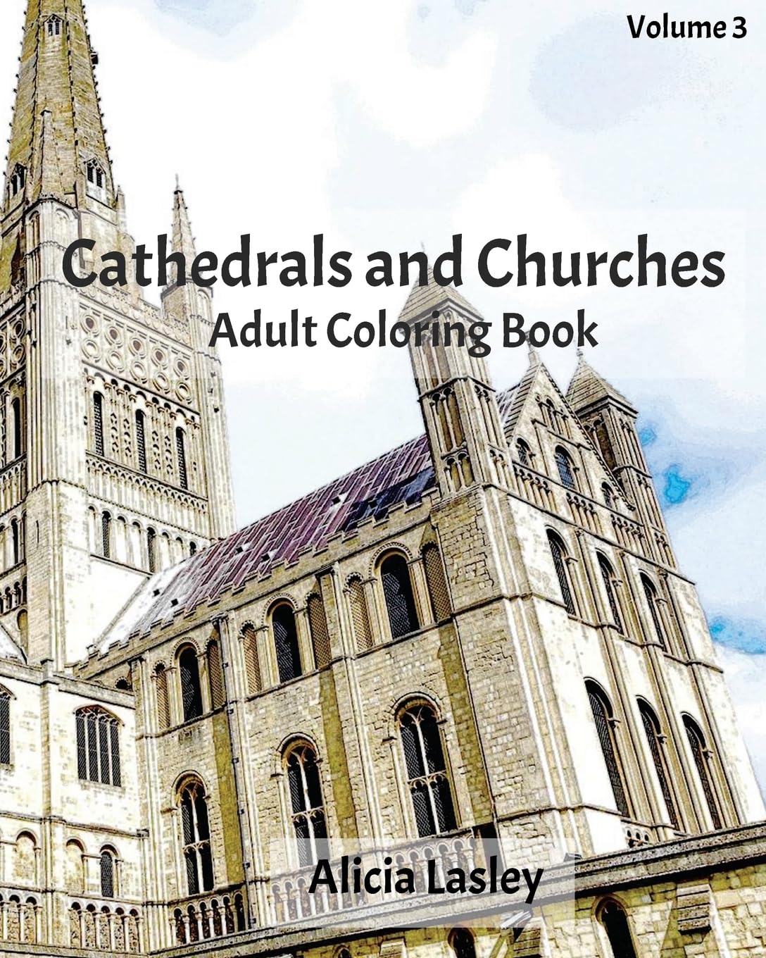 Cathedrals and Churches : Adult Coloring Book Vol.4: Cathedral Sketches for Coloring (Wonderful Churchs Around The World Series)