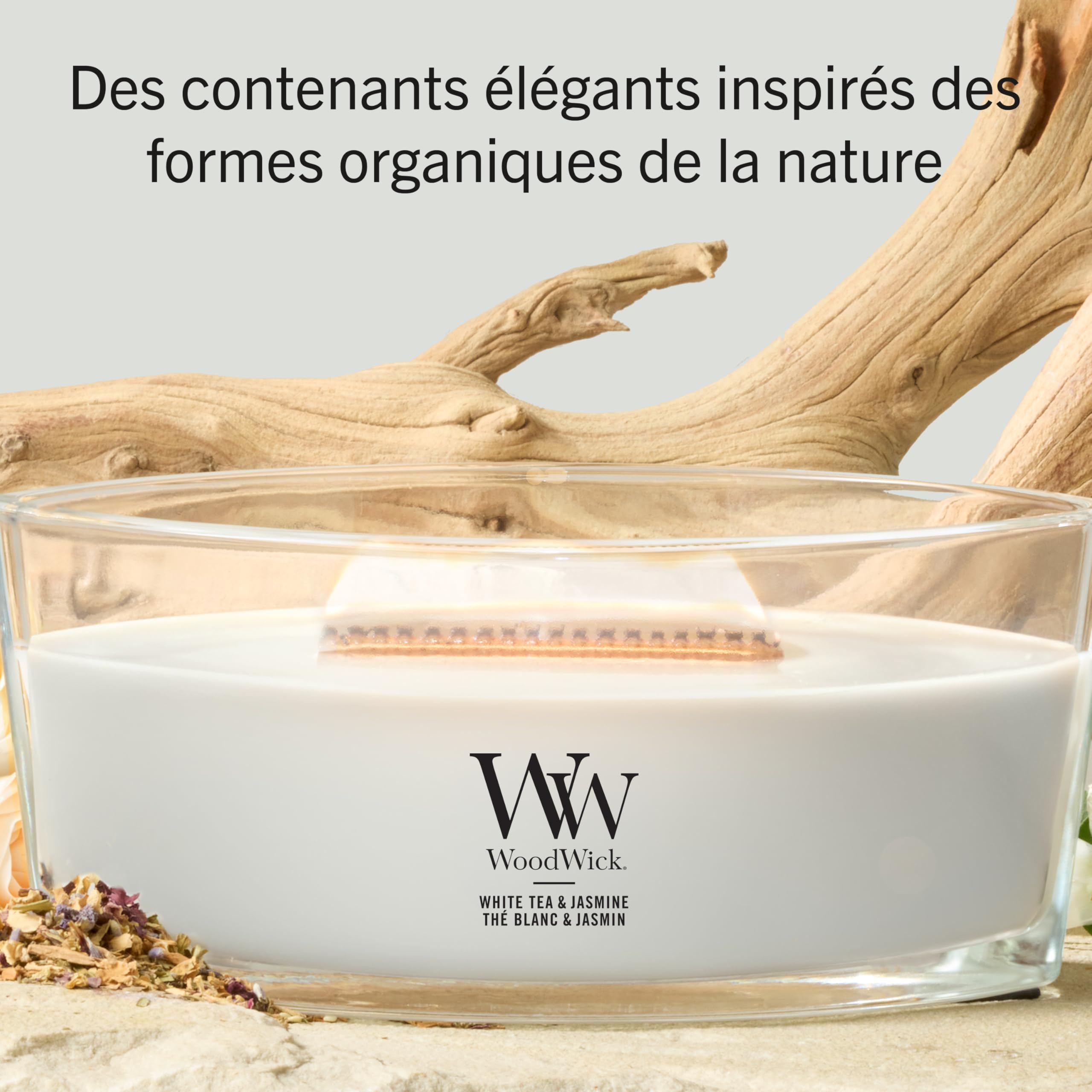 WoodWick Ellipse Bougie parfumée | Thé blanc & Jasmin | avec mèche crépitante | Durée de combustion : jusqu'à 50 heures