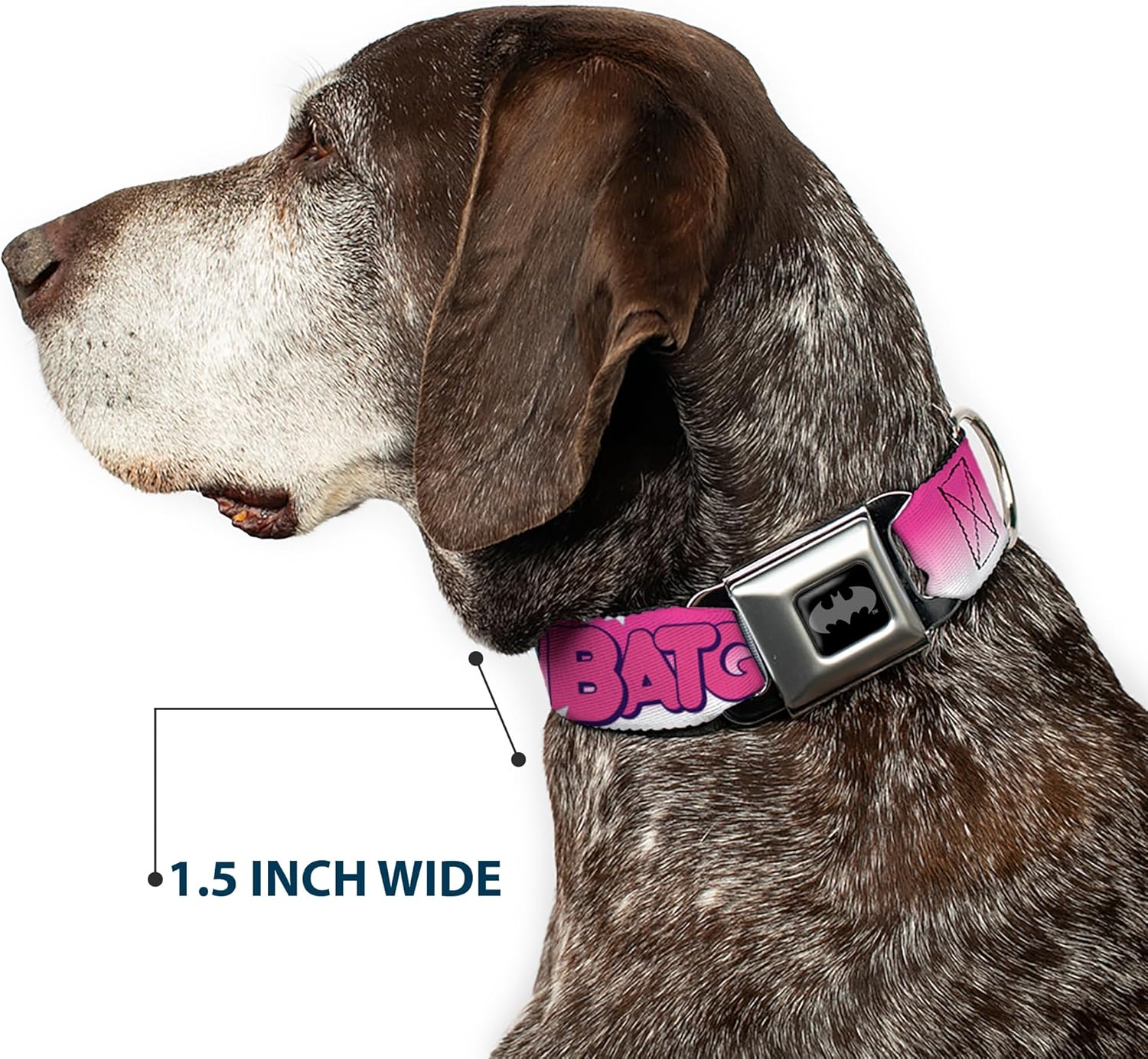 Buckle-Down Seatbelt Buckle Dog Collar - BATGIRL Bubble Letters w/Stars Pink/White - 1.5" Wide - Fits 13-18" Neck - Small
