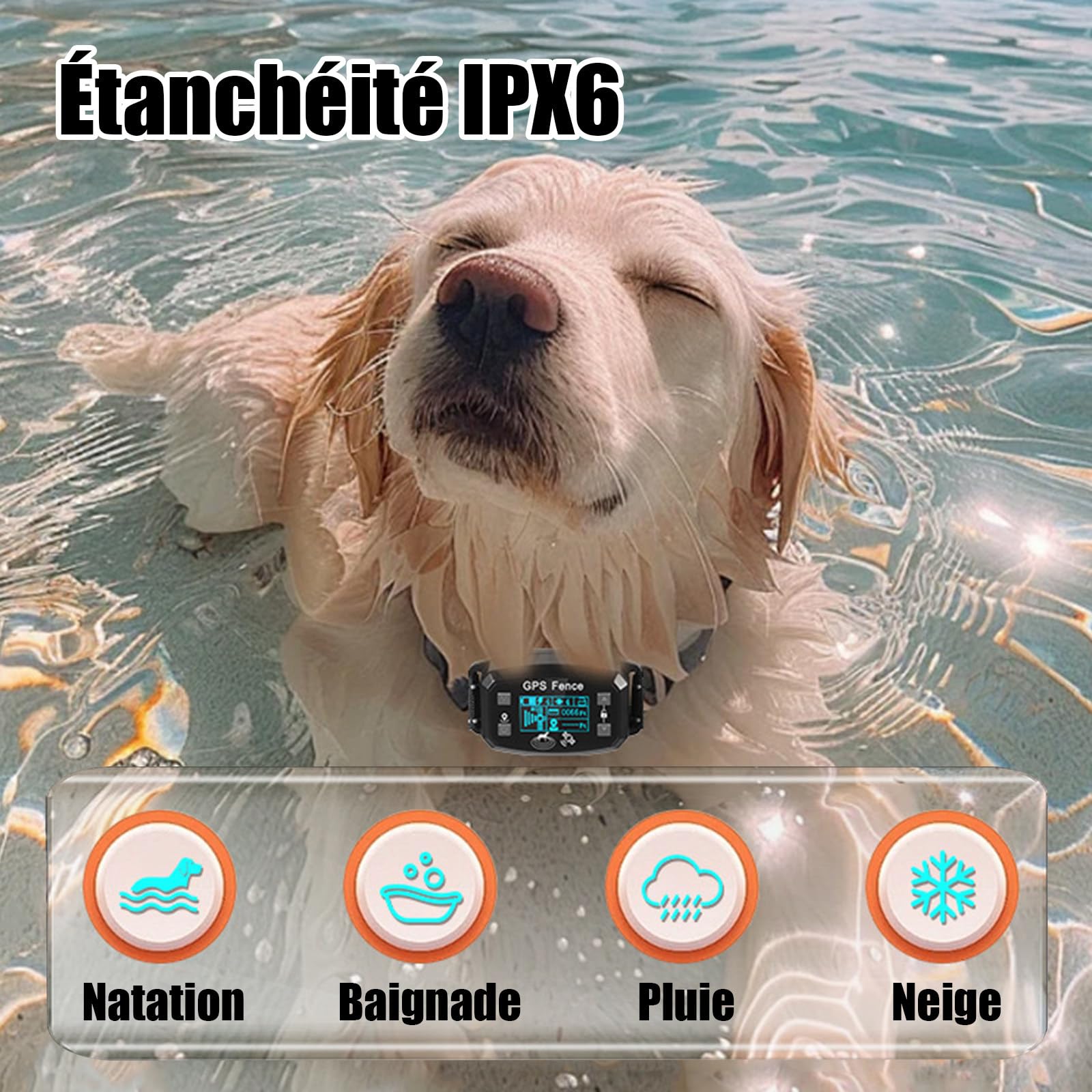 Billg Collier de Dressage pour Chien, Résistant à L’Eau Collier de Dressage sans Fil GPS, 3 Modes Clôture Anti-Fugue pour Grands Espaces Ouverts, Portée de 30 à 2000m, 9 Niveaux de Sensibilité