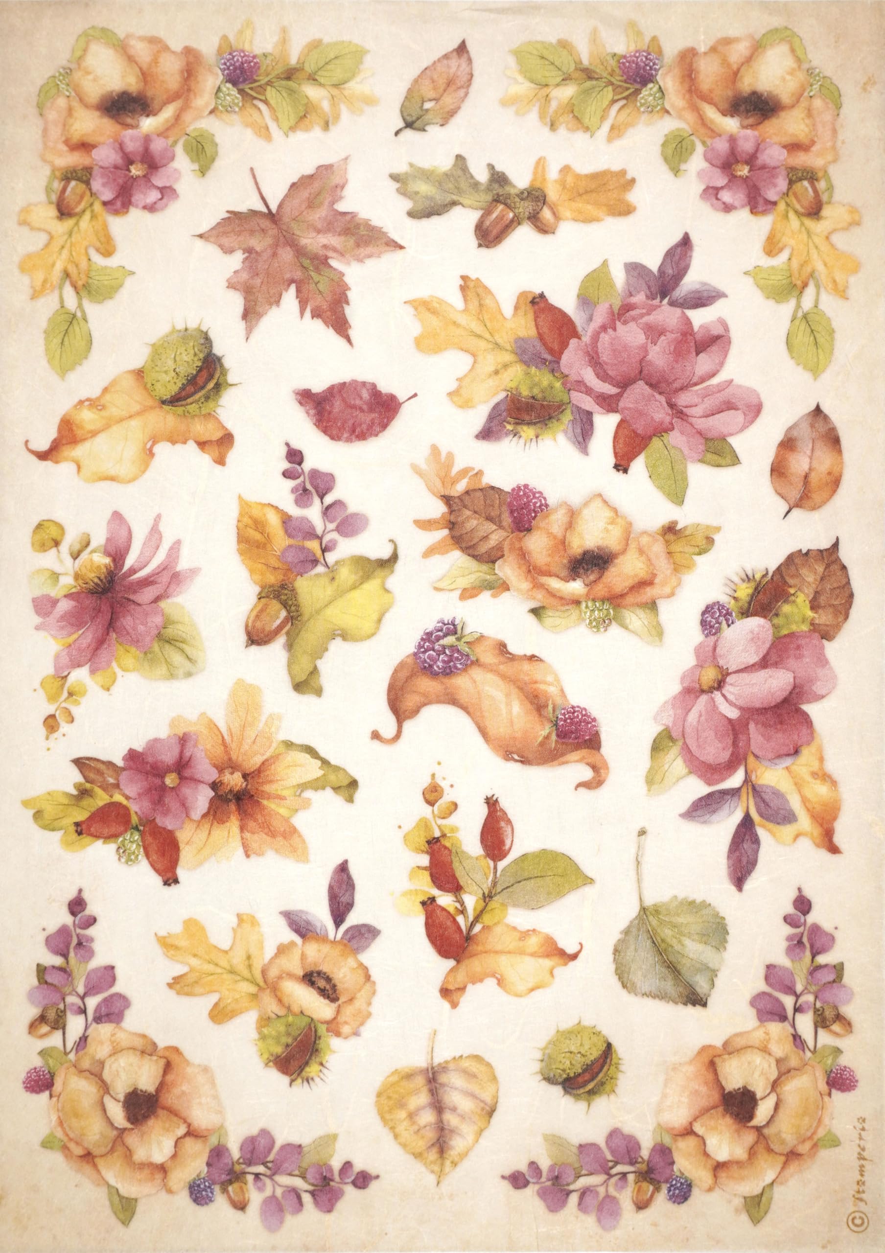 Creative Expressions Stamperia A4 Rice Paper Woodland Flowers, Multicolour, One Size
