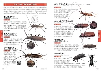 新 日本の昆虫1900(2)トンボ・コウチュウ・ハチ (ポケット図鑑