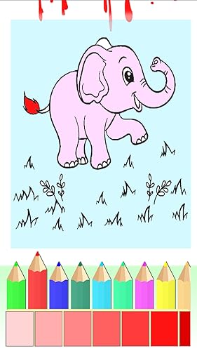 Animal Coloring.