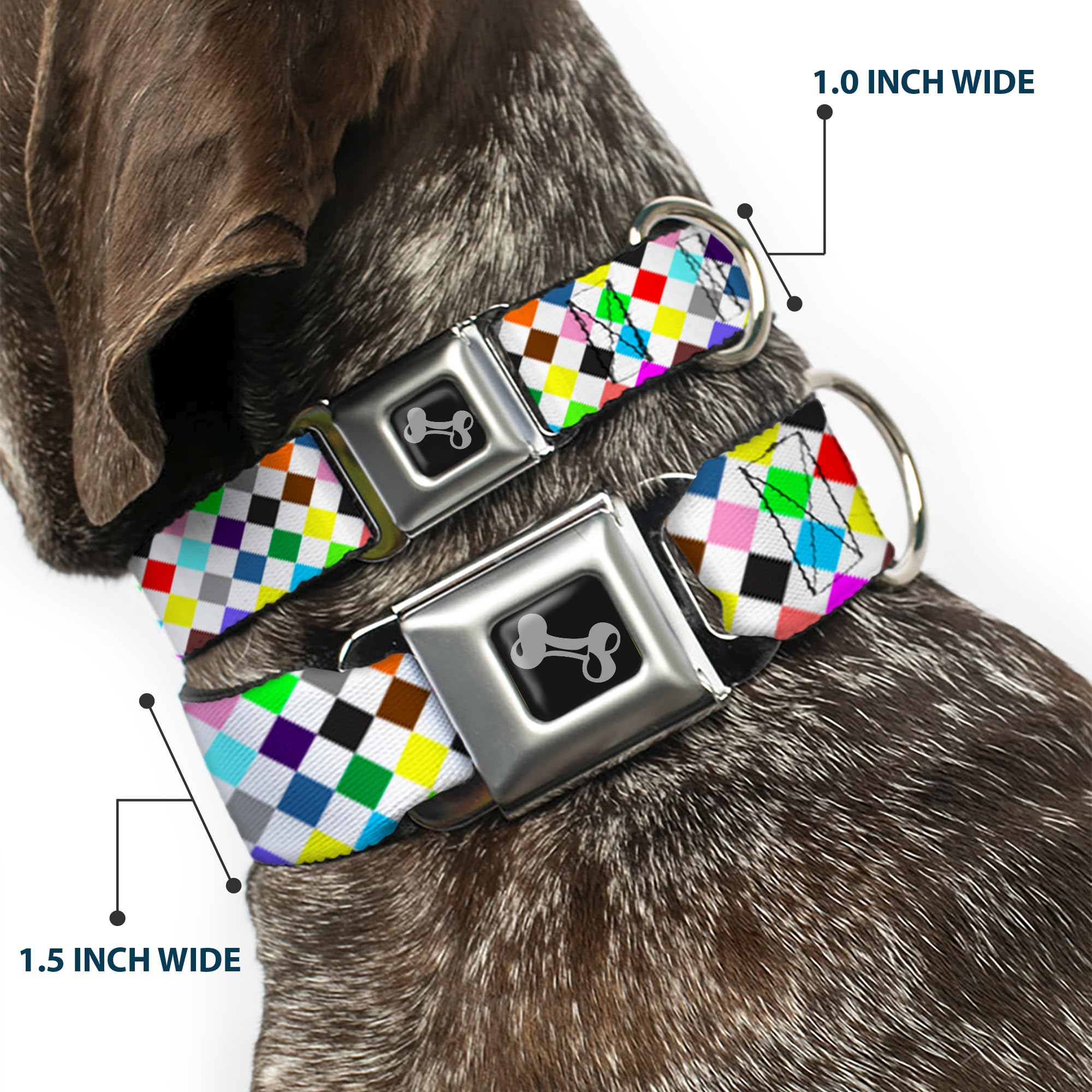 Buckle Down Diamanti, Colore Bianco/Multi Collare Osso Wide l/18 – 81,3 cm