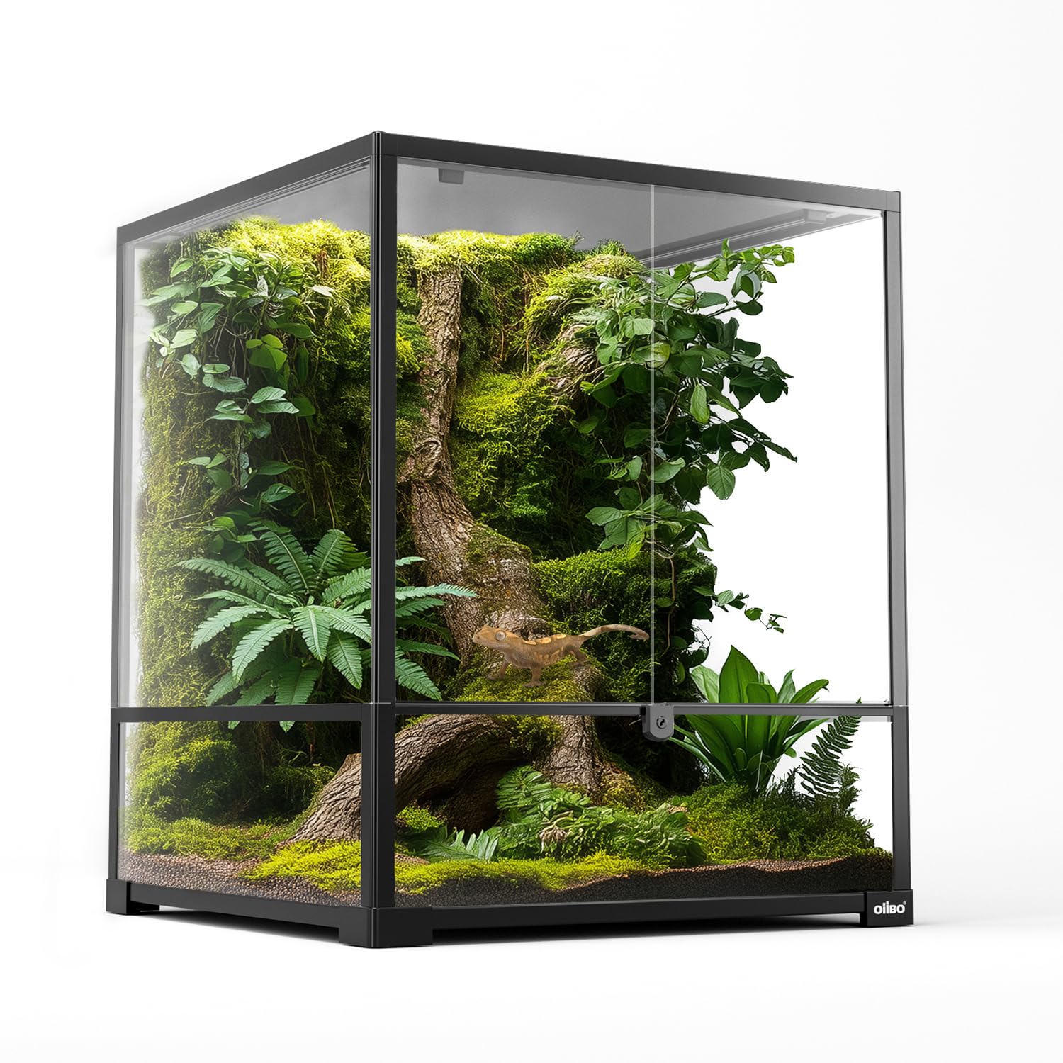 Oiibo 18" x 18" x 24" Glass Reptile Terrarium, Knock-Down Rainforest Reptile Habitat Tank with Front Opening Doors & Top Screen Ventilation, 30 Gallon Vertical Terrarium