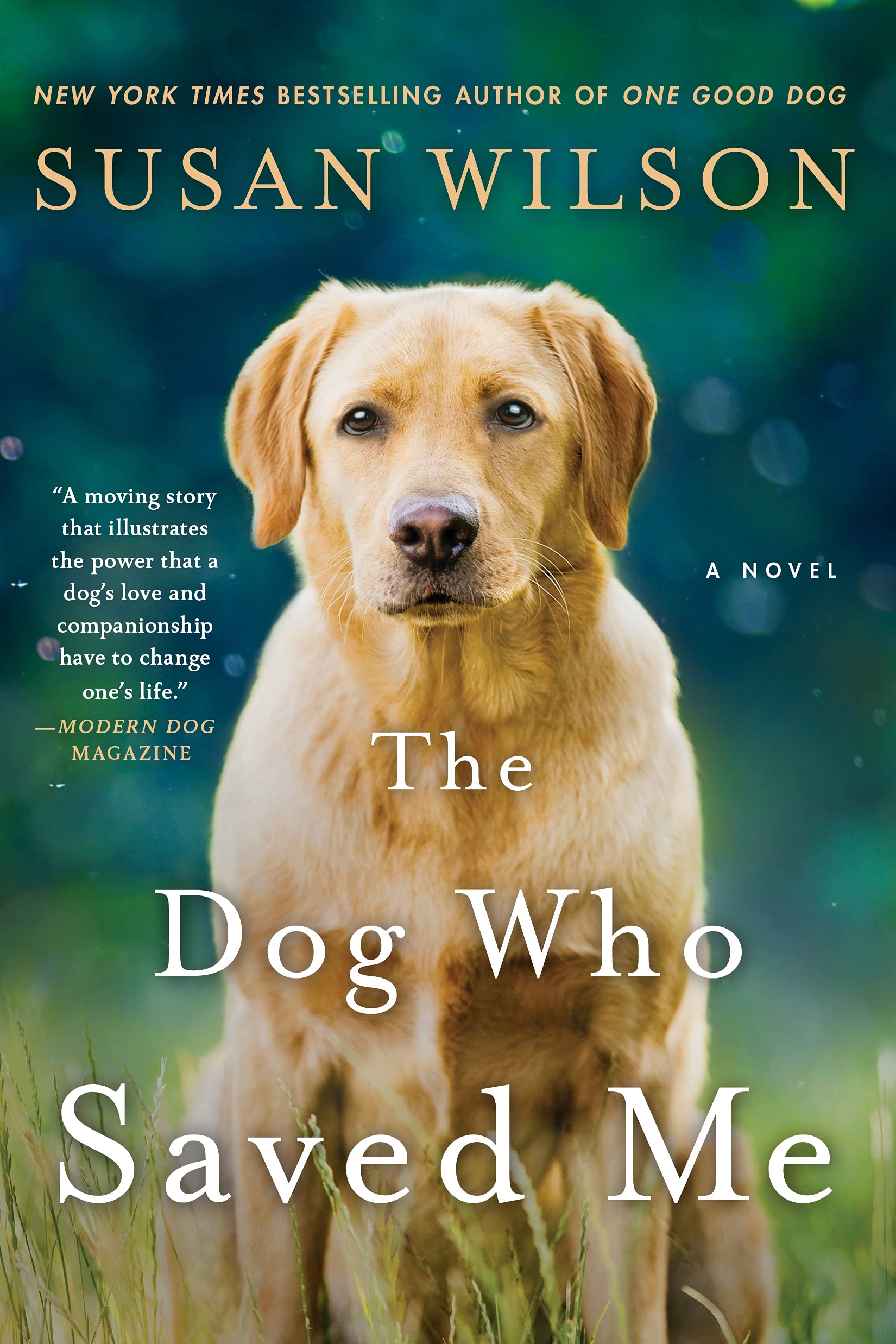 Dog Who Saved Me, The