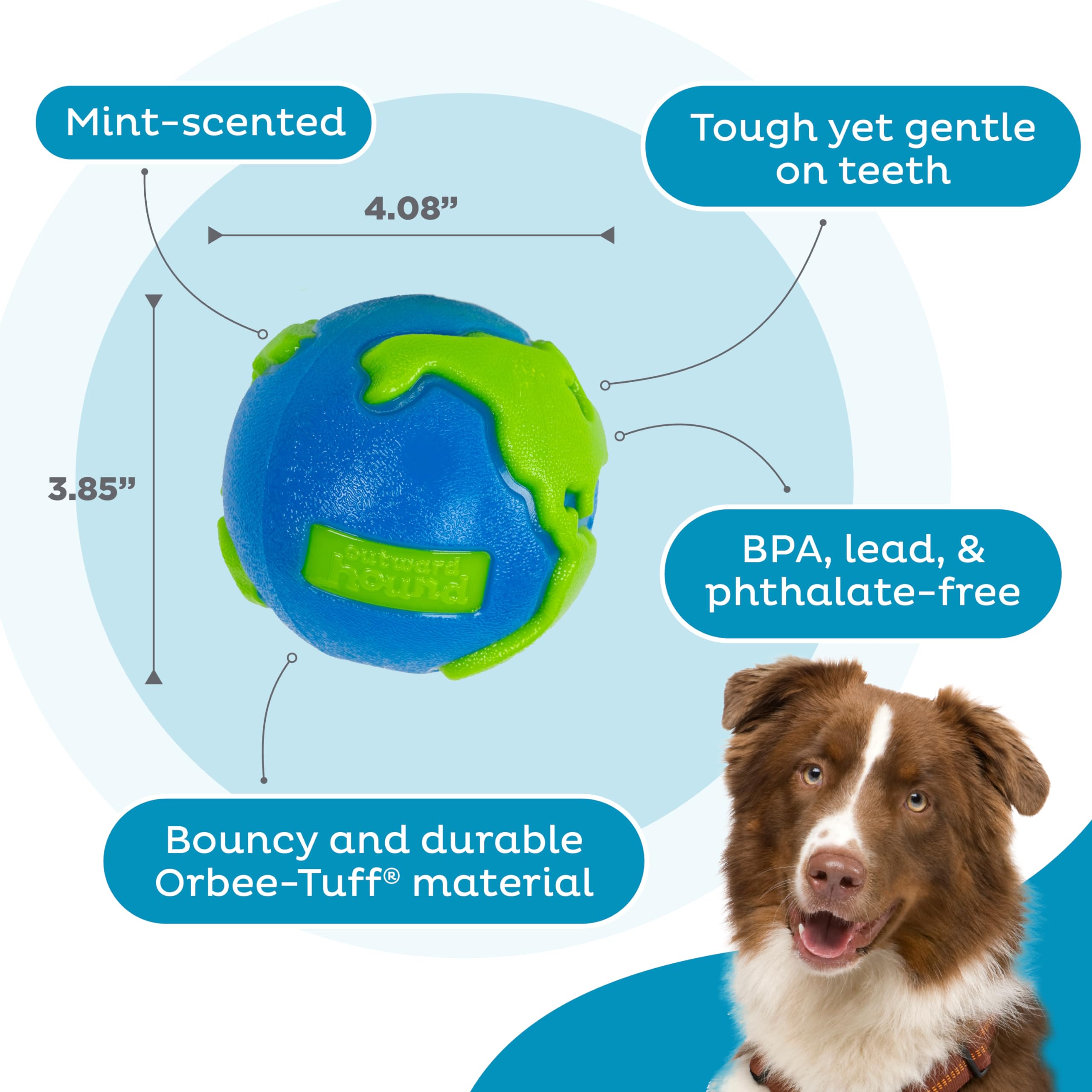 Planet Dog Orbee-Tuff Planet - Snackball für Hunde - Hundespielzeug - Blau/Grün - Groß