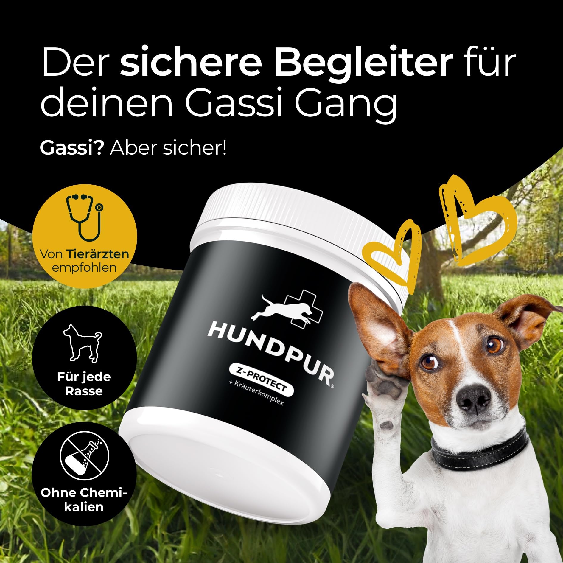 Z-Protect 300 g – pellet dla psów – bezproblemowe przygody na łonie natury – z olejkiem z czarnuszki i różą – naturalna formuła – Made in Germany