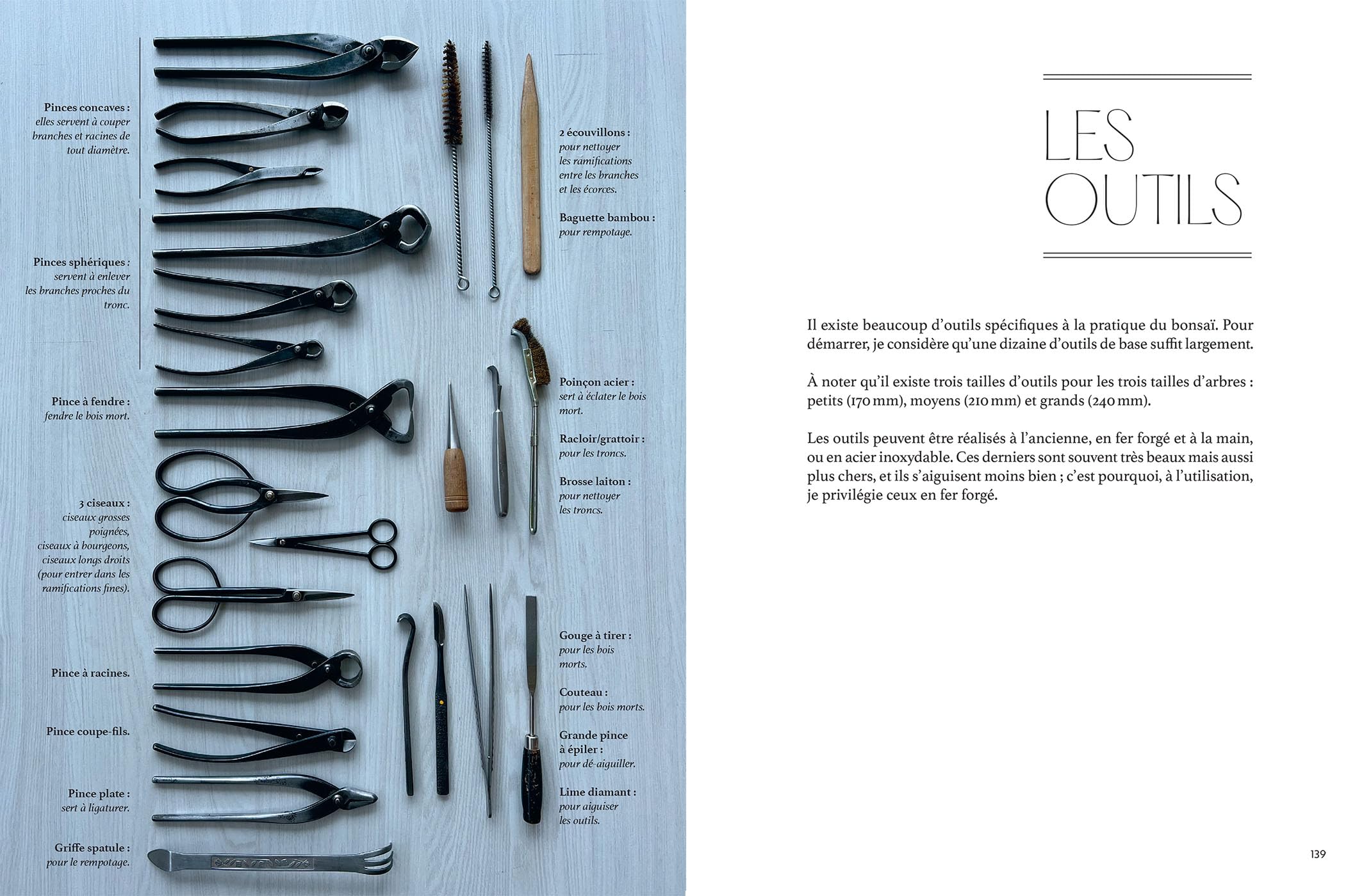 L'art du bonsaï: Tous les conseils pour les choisir, les créer et les cultiver