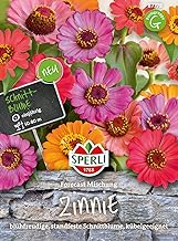 Sperli 87778 Zinnie Forecast (Zinniensamen)