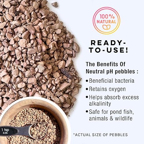 Miniatura 2 de Microbe Lift MLCAPM10 - Medios de cultivo, 10 libras, multi