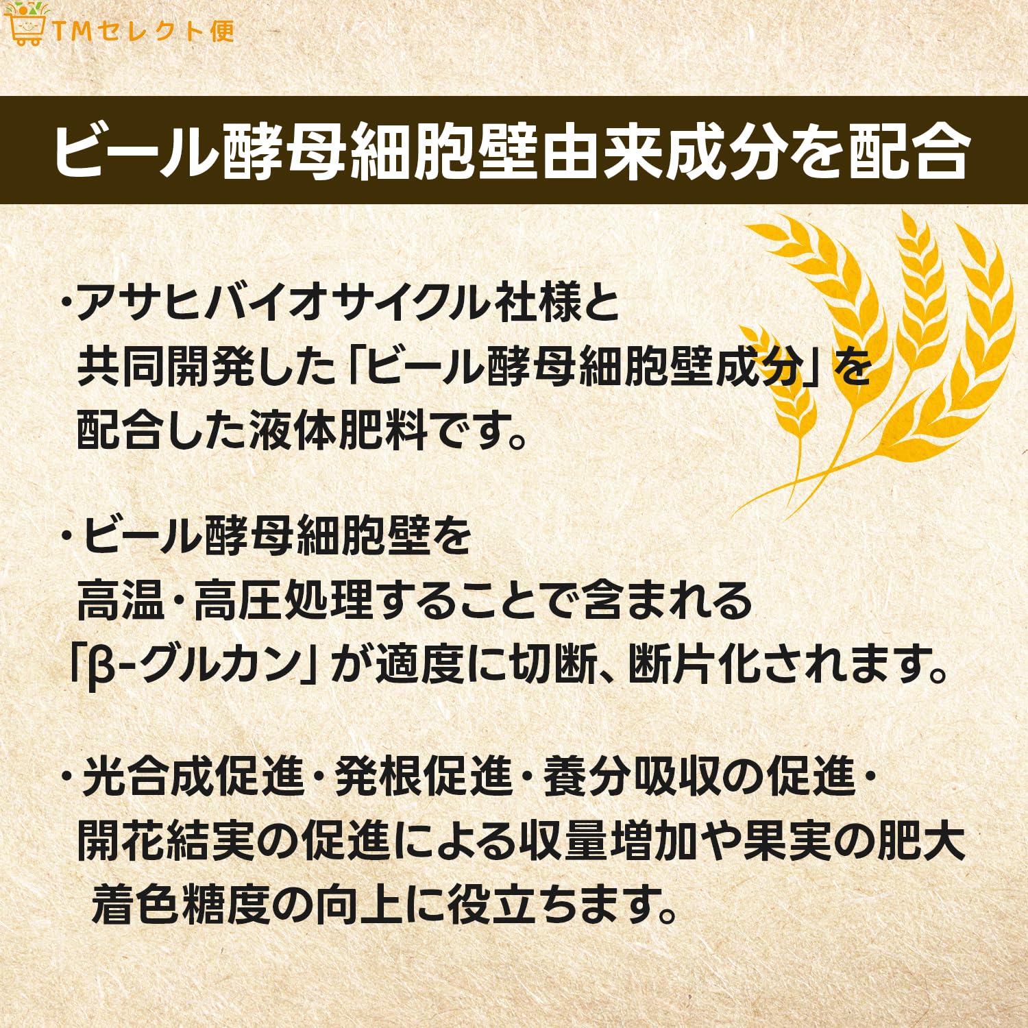 Amazon.co.jp: 【TMセレクト便】 清和肥料工業 セルエナジー 1L 液肥