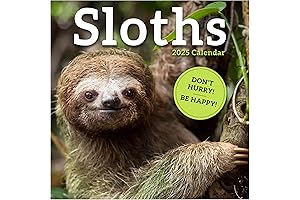 2022 Sloth Wall Calendar: Organizational Bliss for Sloth Lovers