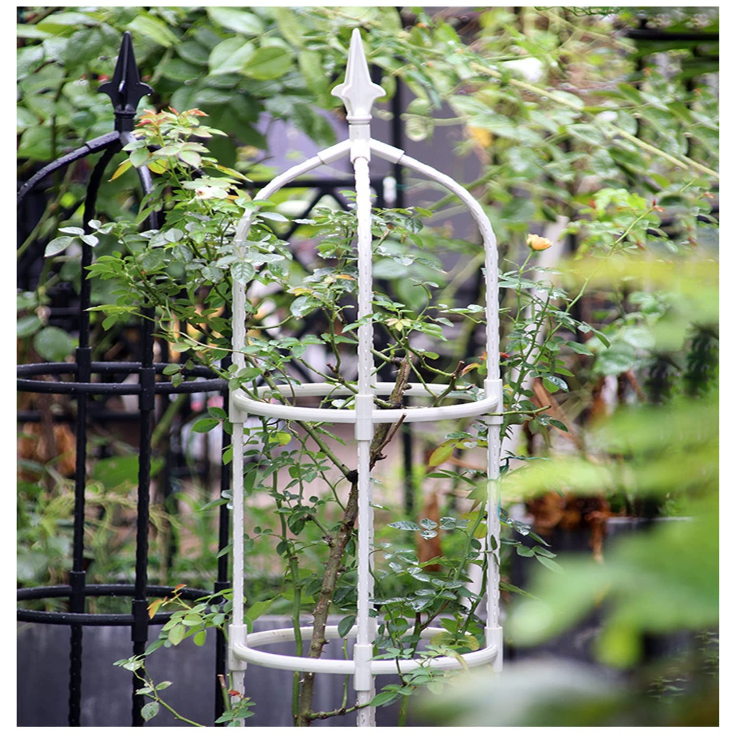 AEMIN 1,8 M De Obélisque De Jardin en Acier Recouvert par Pulvérisation, Tuteur Plante Grimpante Ø 20 Cm pour Plantes D'Intérieur D'Extérieur Légumes Fruits Vignes (Color : White, Size : 20x120cm)