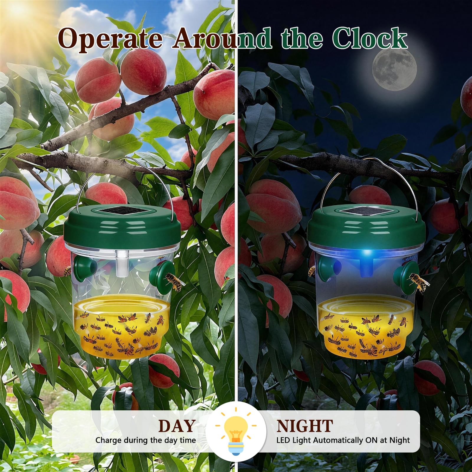 View 4