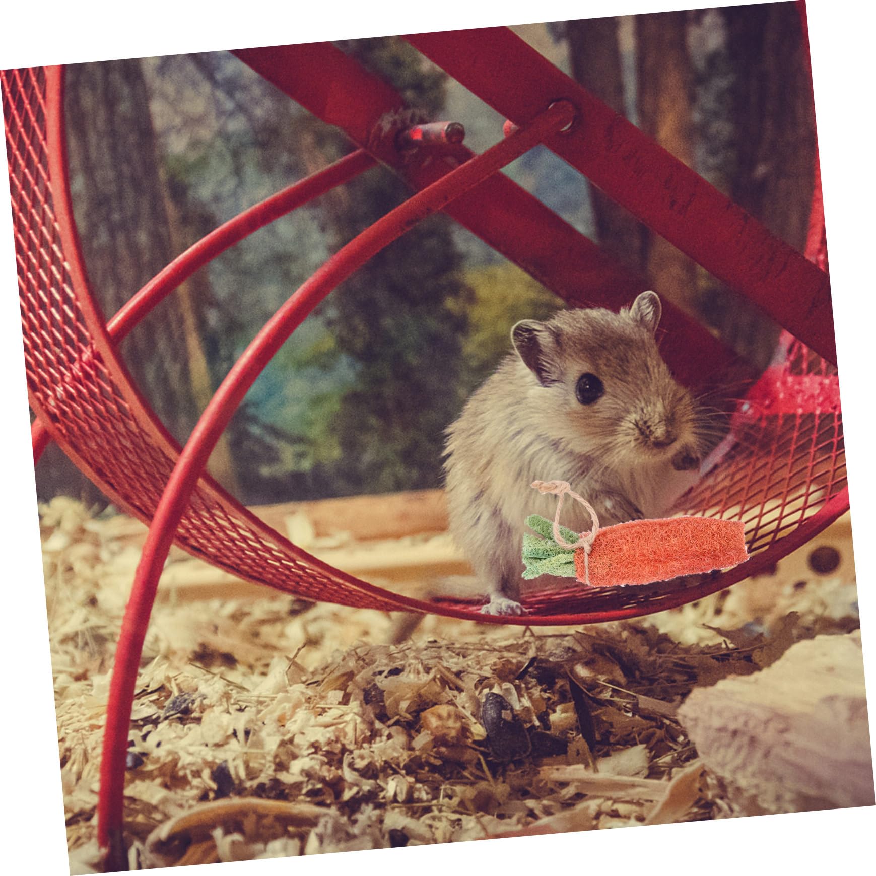 BESPORTBLE 8pièces Jouets à Mâcher pour Hamsters Décoration pour Cage De Hamster Accessoires pour Lapins Jouets pour Petits Animaux