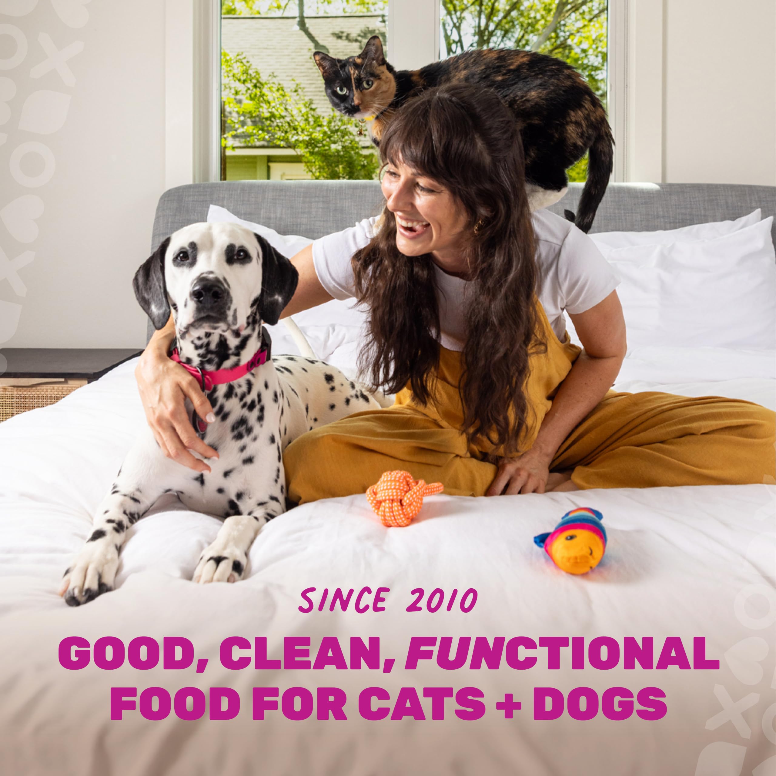 "I and Love and You" Naked Essentials - Comida Seca para Gatos sin Grano