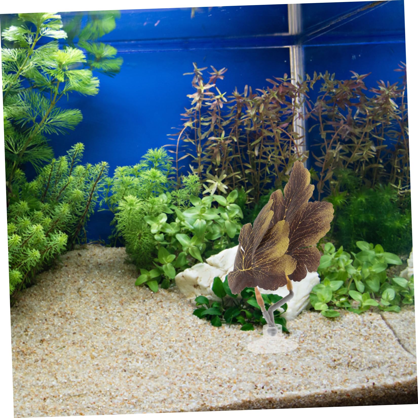 Beaupretty Ornement De Réservoir pour Betta De Imitant Plantes Aquatiques avec Ventouse pour Aquarium Décoratif Et Sécurité Poissons