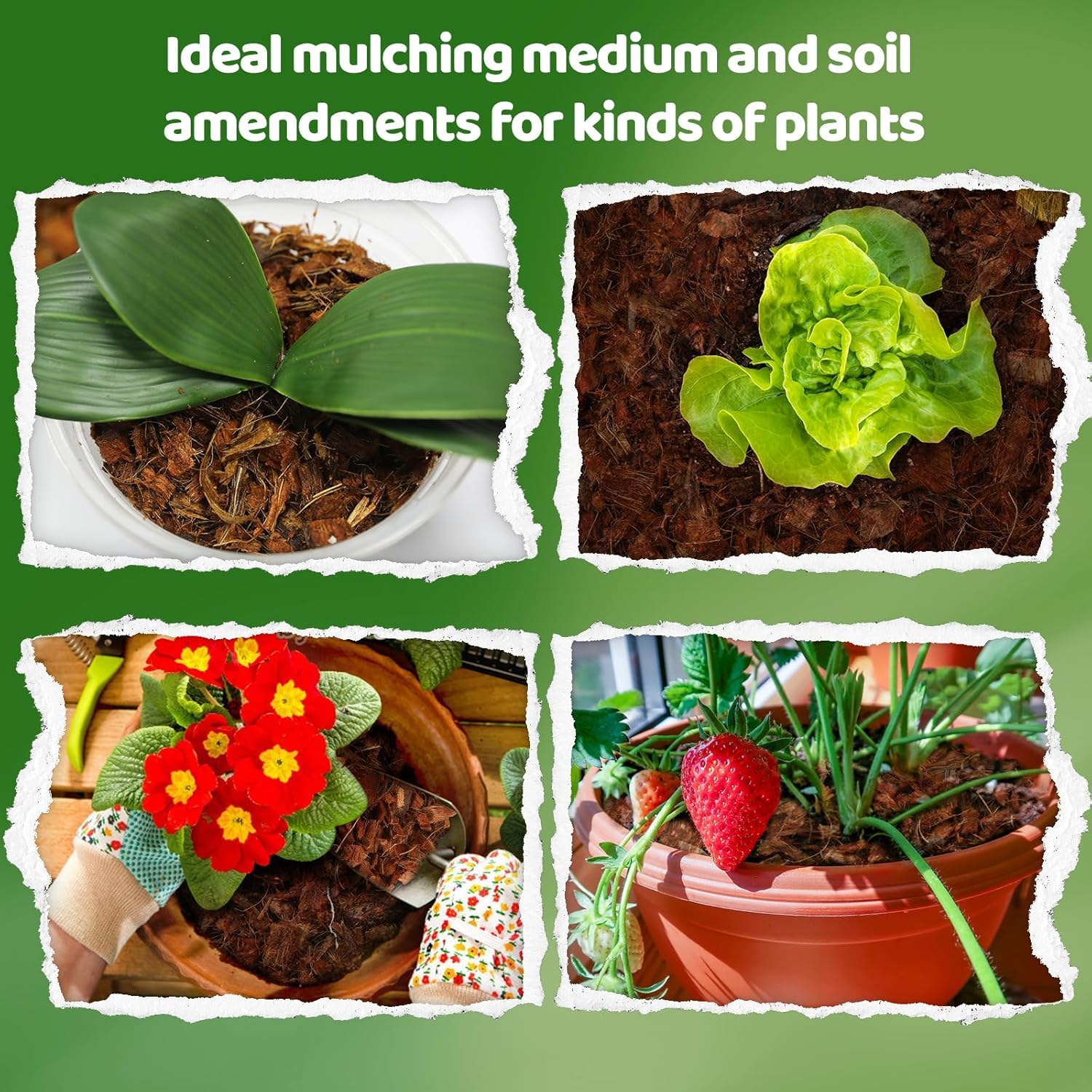 SRI SAI FORESTRY Coconut Husk Coco Coir Chips Crushed Block 5KG, Sustainable Soil Enhancer - Image 5 thumbnail