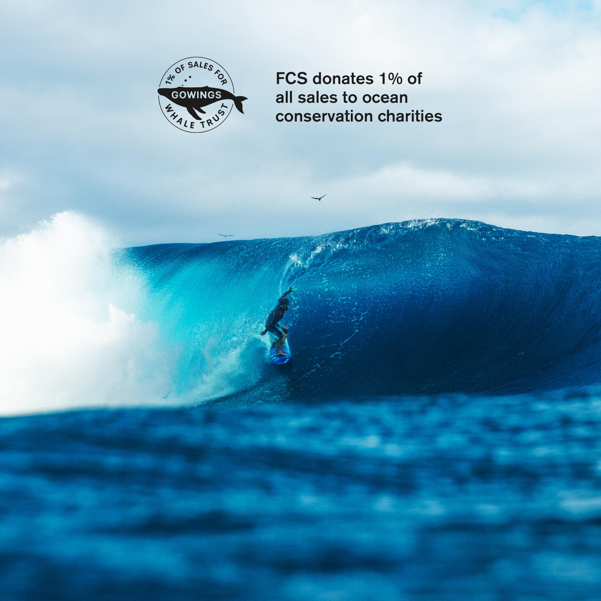 Amazon.com : FCS II Gabriel Medina Signature Tri Fin Set (Blue