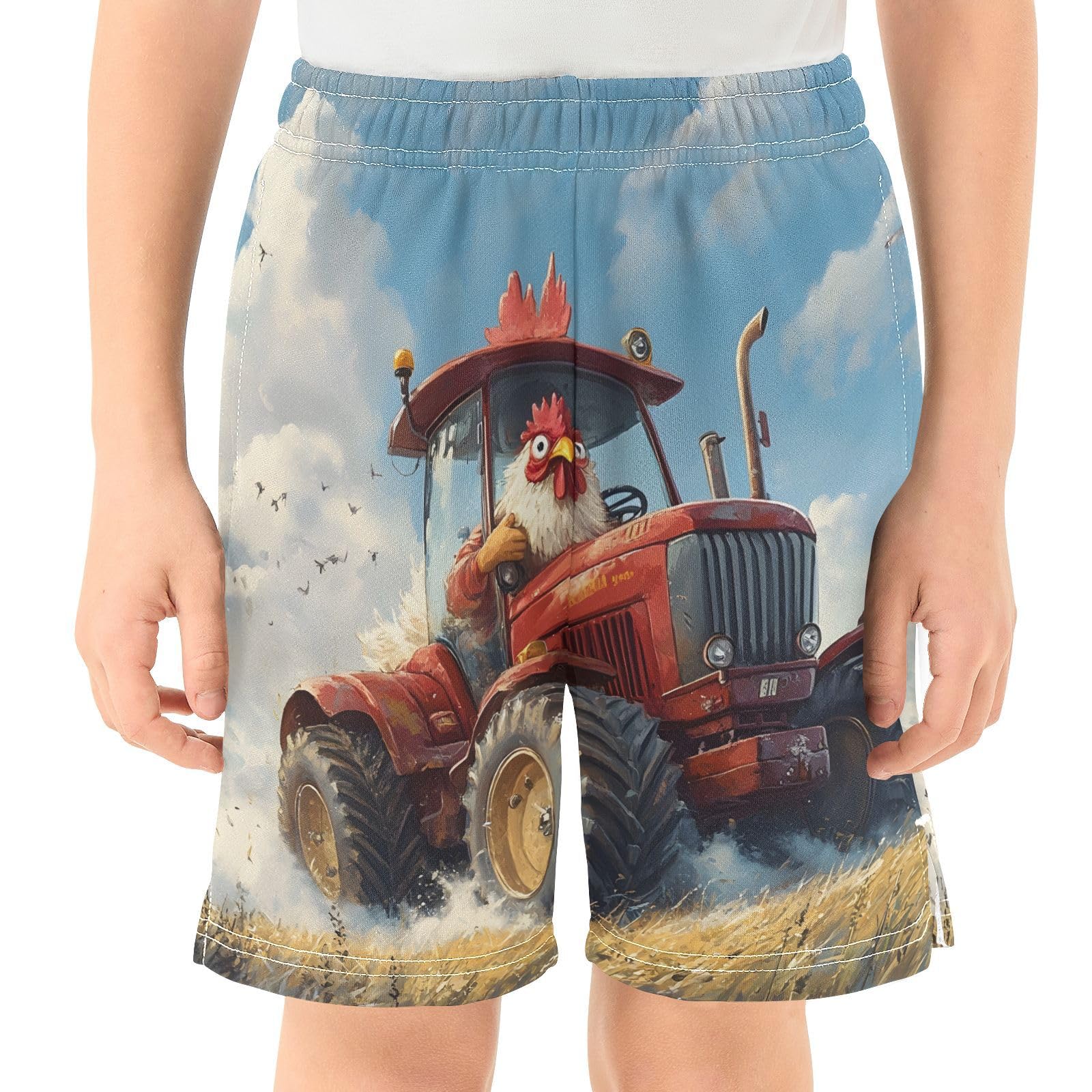 panksolu boy Shorts Cock Driving A Tractor Rooster Youth Athletic Shorts for Boys and Girls 10-11 Y Multicolor