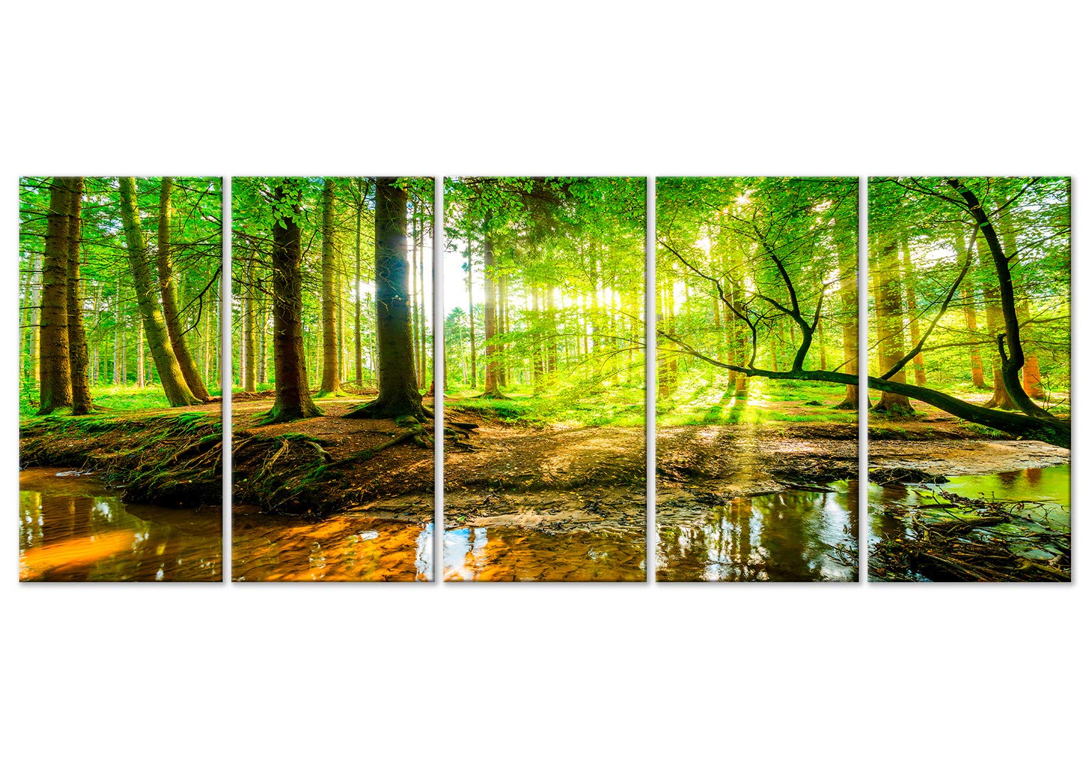 murando Cuadro Acústico Bosque 225x90 cm espuma acústica absorbe el sonido | aislamiento lienzo de 5 piezas Impresión Artística Decoración de Pared Imagen