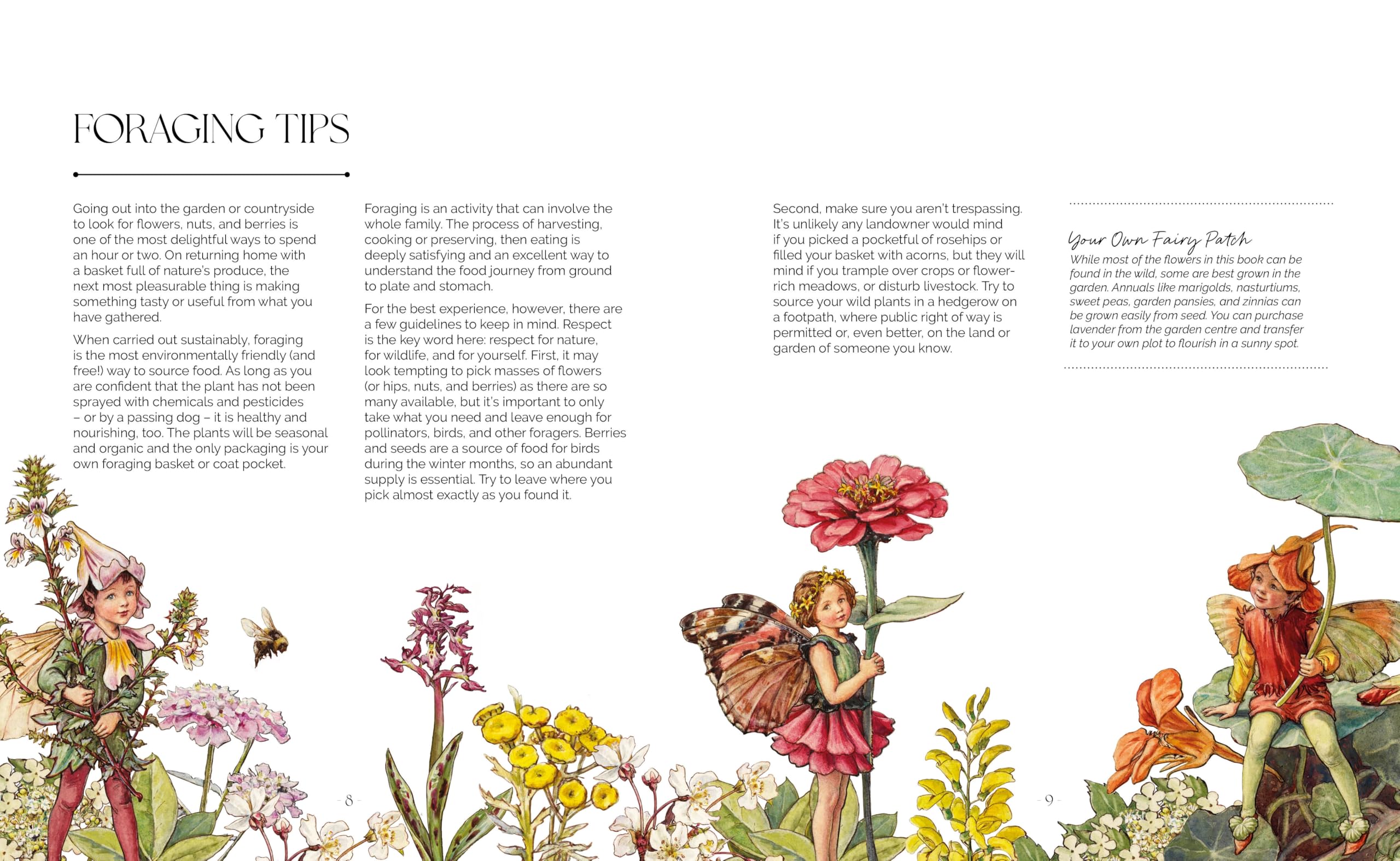 The Flower Fairies Herbal: Recipes and Remedies from the Hedgerow, Field and Forest.