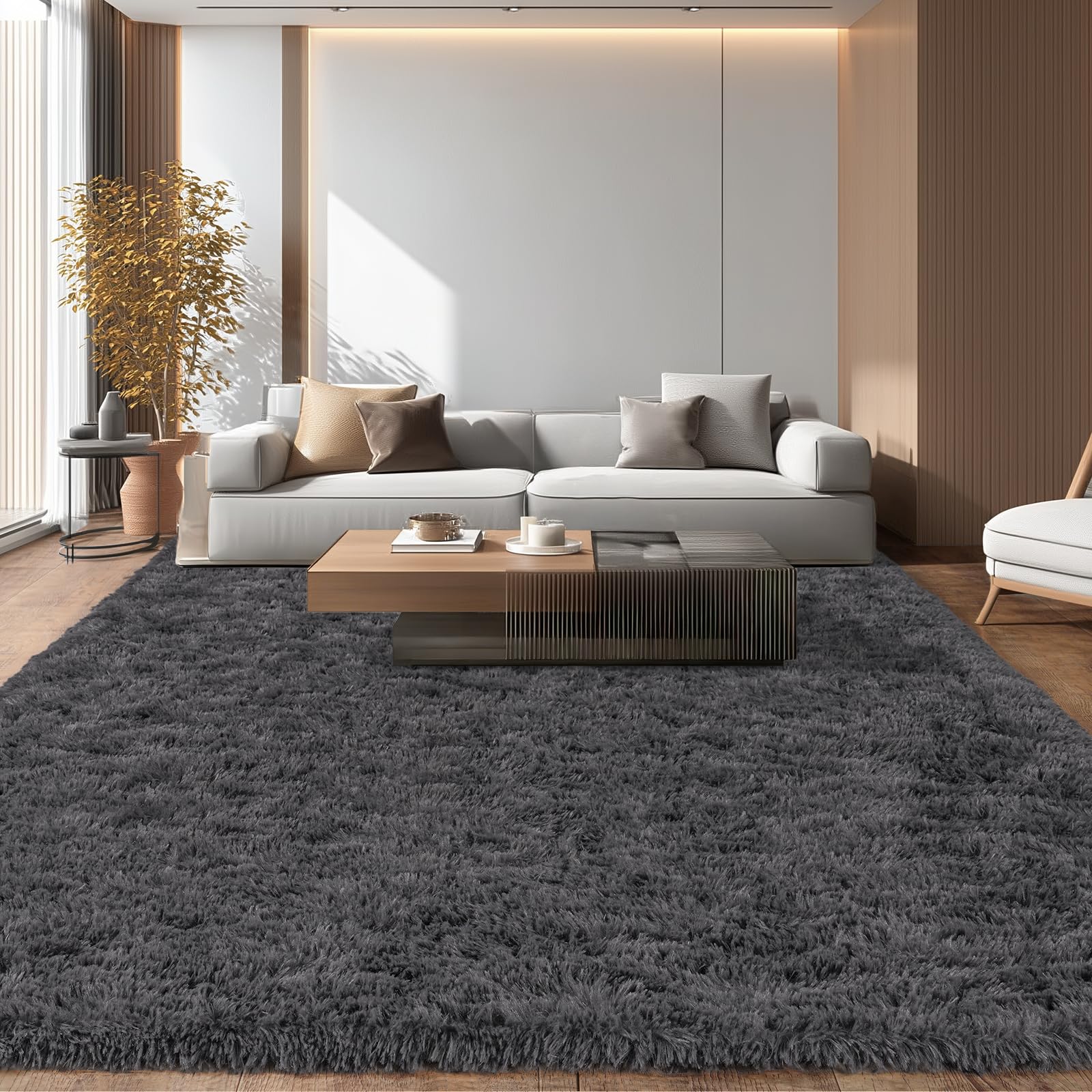 iEvery Large Rugs for Living Room 200x300 cm - Fluffy Shaggy Area Rug for Bedroom, Soft Non Slip High Pile Modern Floor Carpet for Kids Room, Charcoal