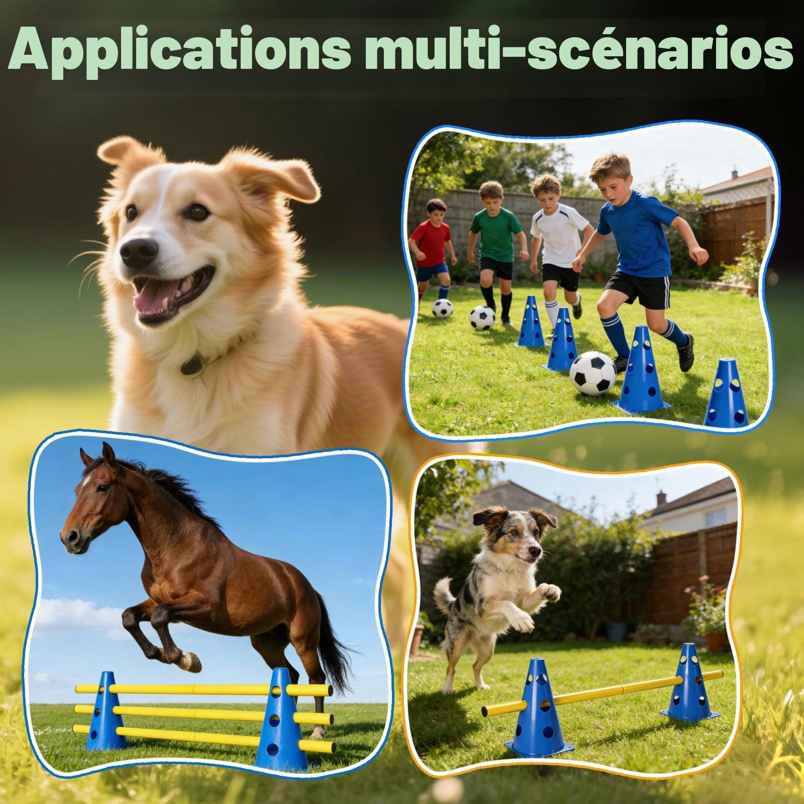 Cavaletti Lot de 6 accessoires d'agilité pour chien, obstacles, obstacles, loisirs, saut