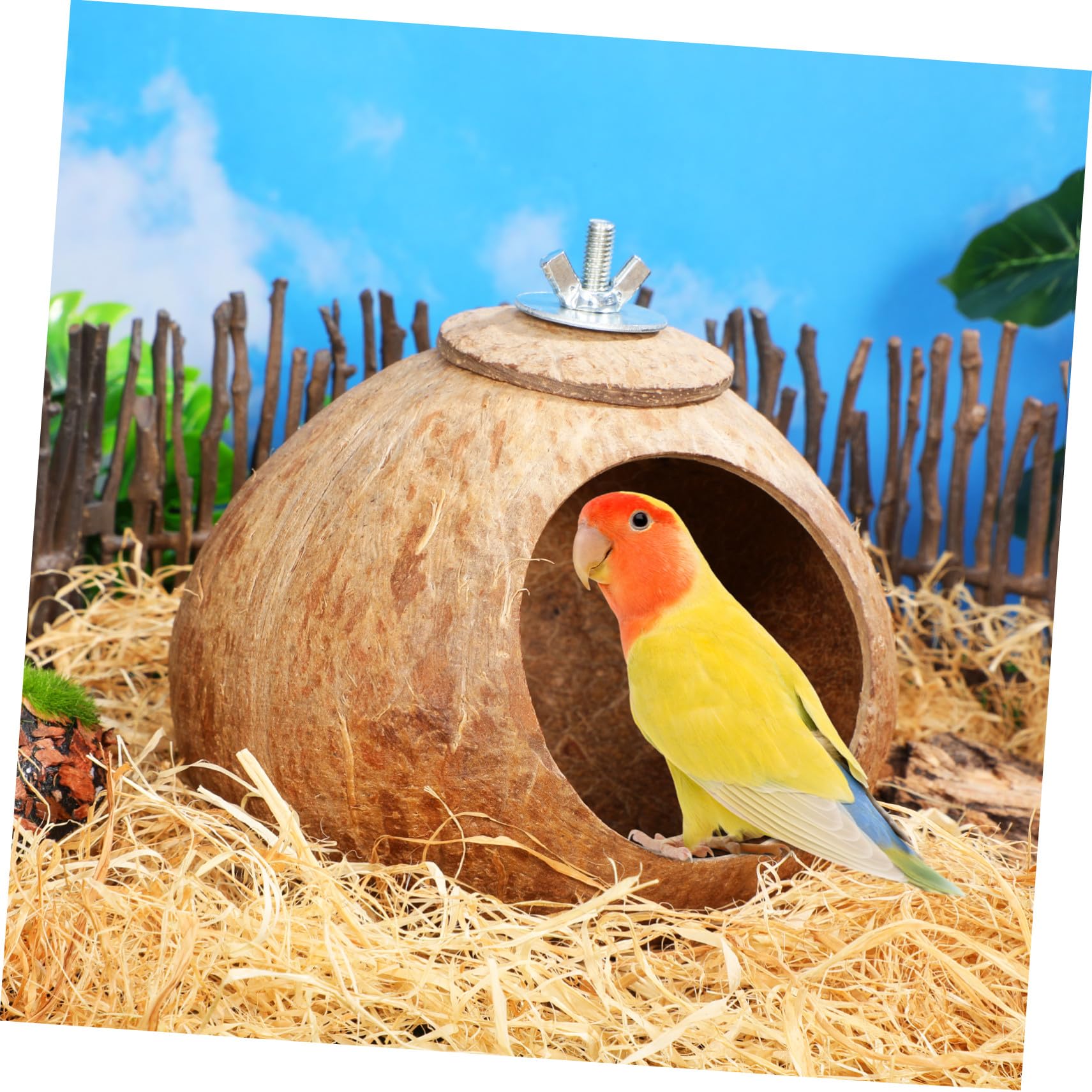 balacoo Vogelhaus aus Kokosnussschalen, natürliche Kokosnuss-Schale, Vogelkäfig für Wellensittiche, Papageien, Haustiere