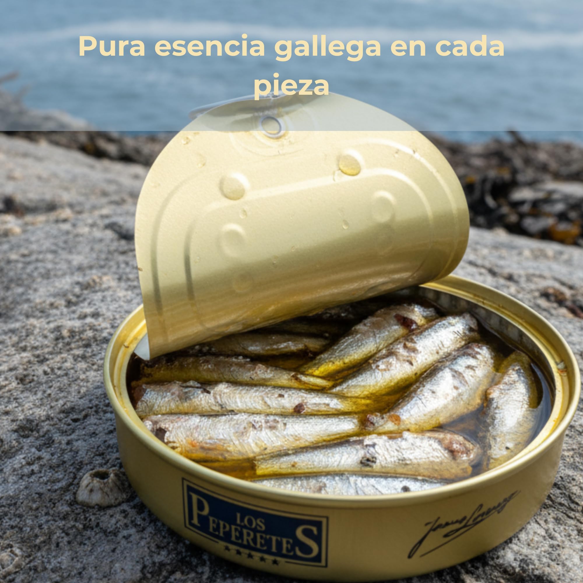 LOS PEPERETES x3 Lata Sardinillas Picantes Pikante Sardinen in Olivenöl 120 g | Kleine Gourmet-Sardinen | Handwerkskonserve in scharfem Öl | Atlantischer Blaufisch | Traditioneller Geschmack