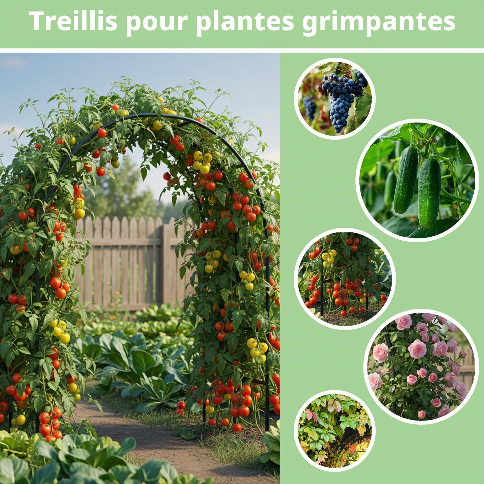 RUBFAC Arche de Jardin en métal, décoration de Mariage et d'événement, Treillis de Jardin pour Plantes grimpantes, Assemblage Librement, 2 Tailles pour diverses Plantes grimpantes, Roses, vignes,