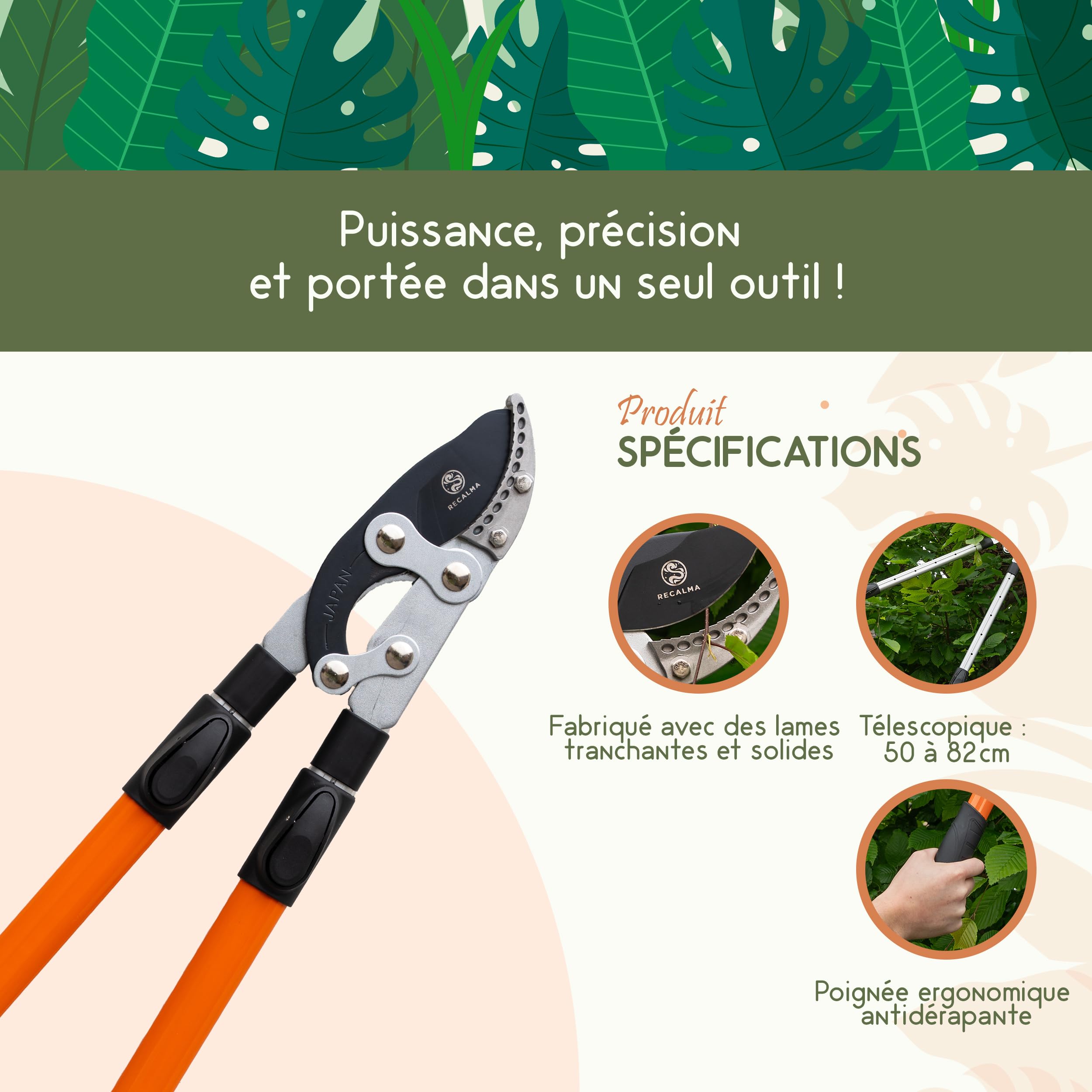 Sécateur télescopique, manche 50-82 cm, acier trempé, coupe branches >44 mm, sécateur réglable avec tête de couteau de requin