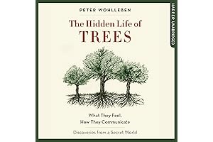 The Hidden Live of Trees: Unveiling the Secret Sentience of Nature's Giants