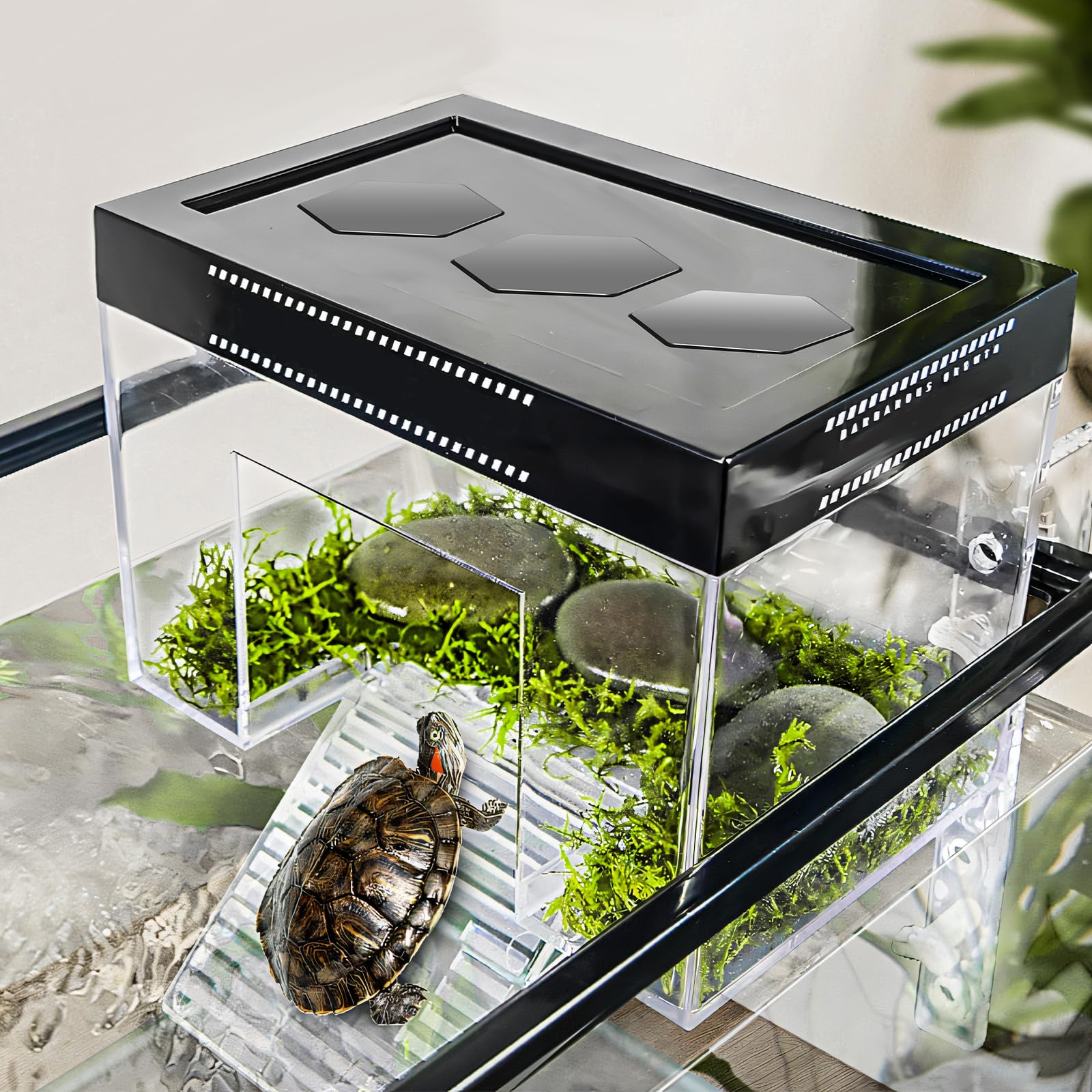 Plateforme de repos pour tortues à hauteur réglable suspendue avec couvercle et rampe, 25×16×16 cm, petit enclos d'aquarium transparent en PC au-dessus du réservoir pour bébés tortues terrestres