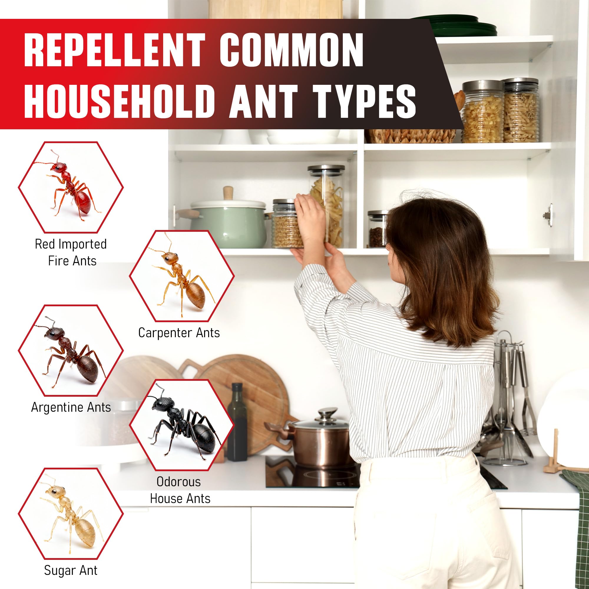 4 Tubes Ant Gel Bait, Indoor and Outdoor Use, Keeps Most Major Ant Species Away, Pets & Kids Safe - 2