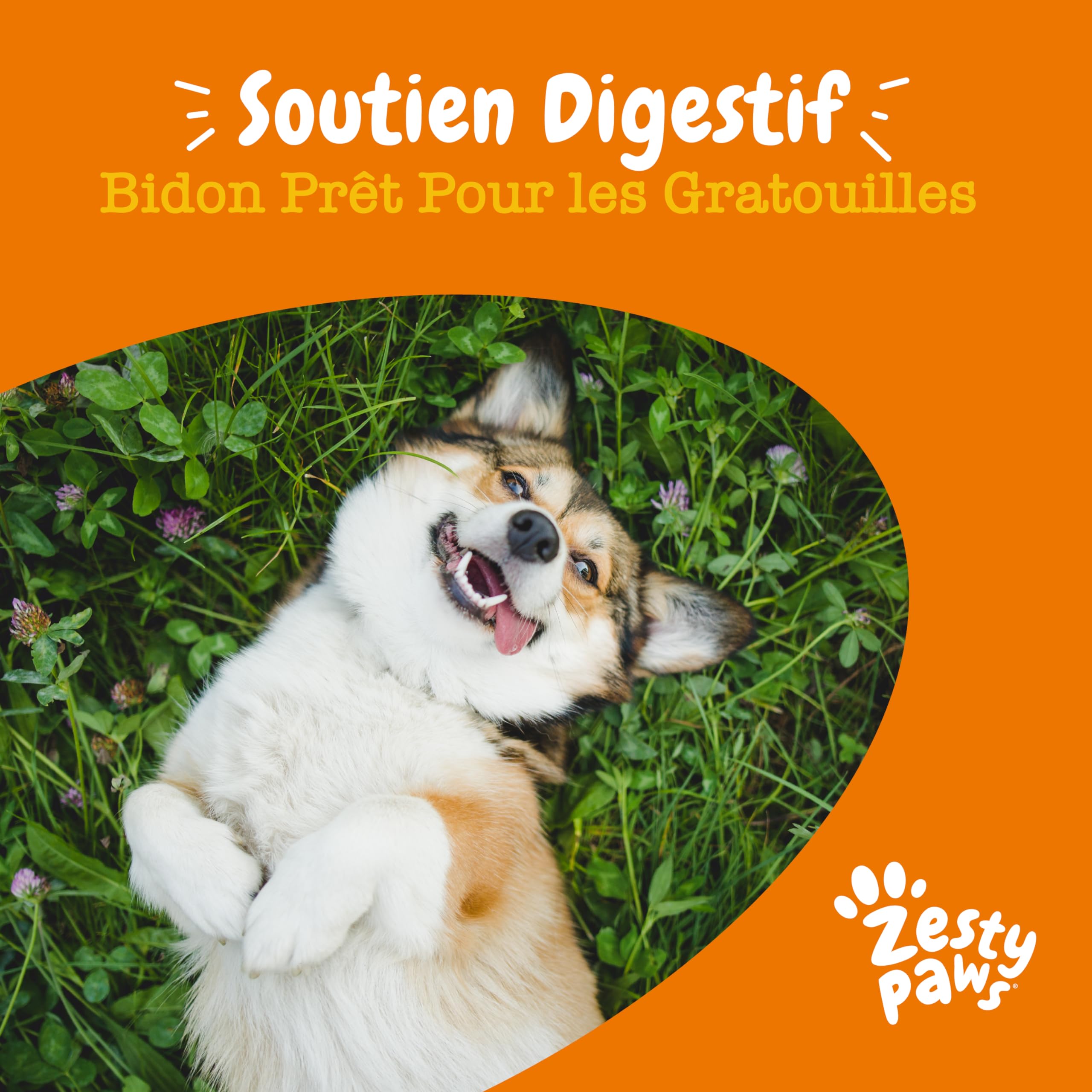 Zesty Paws Bouchées Probiotiques Chien | Supporte Digestion, Équilibre Intestinal, Système Immunitaire | Prébiotiques, Probiotiques, Postbiotiques | Usage Quotidien | 90 Bouchées
