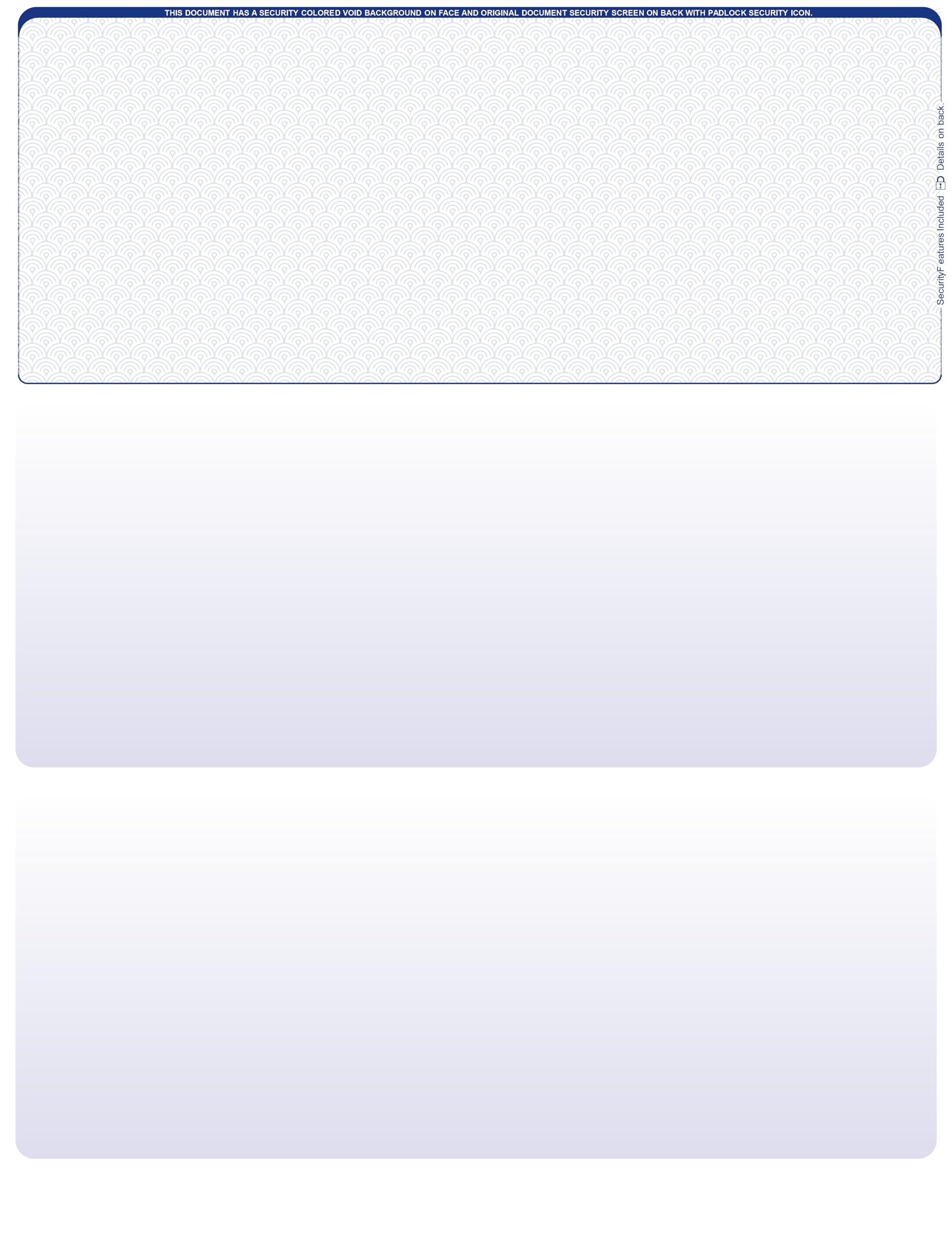 Blank Laser/Computer Checks Top Style (Blue Safety, Qty. 500)