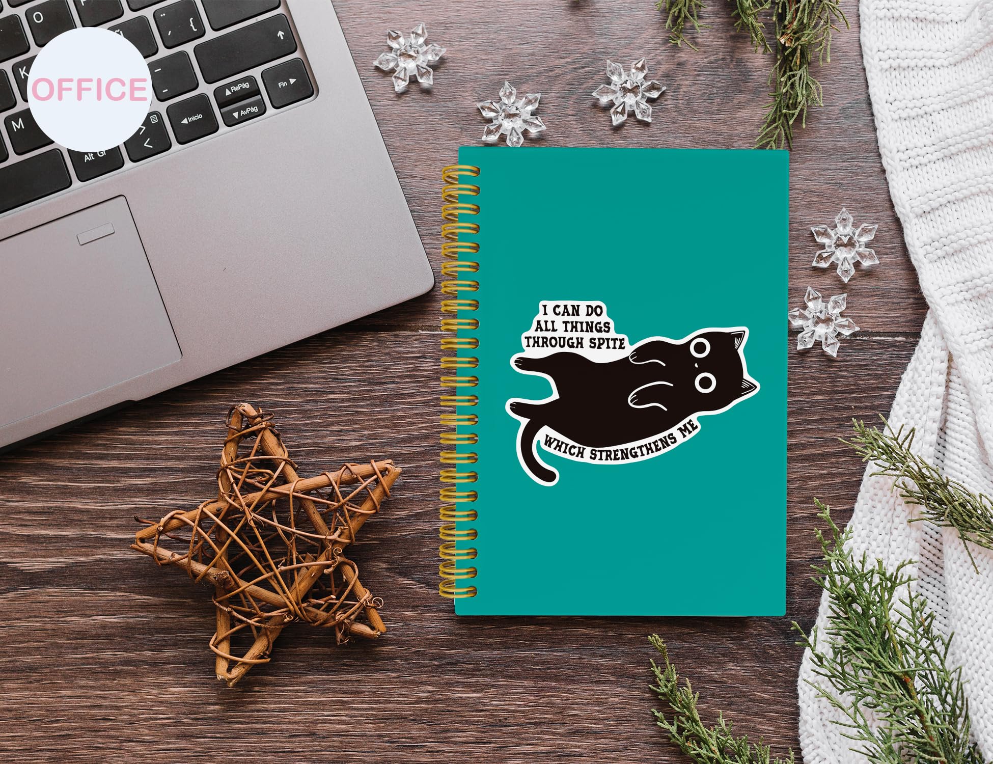ICEWHITEY Taccuino divertente con gatto nero, regalo con gatto nero, I Can Do All Things Through Spite Journal, regalo sarcastico per donne, uomini, colleghi, forniture per ufficio con gatti, quaderno