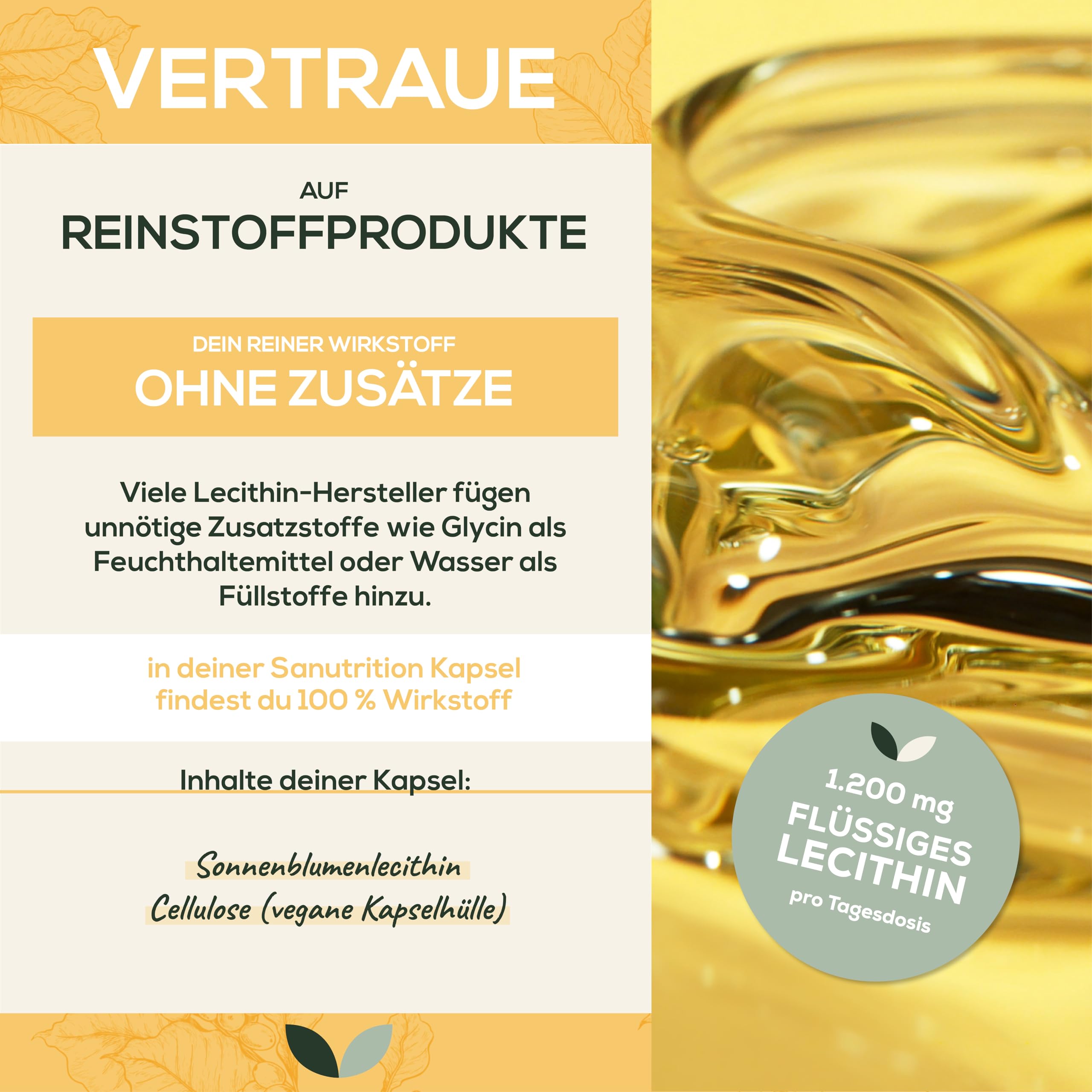 Sonnenblumenlecithin | 180 Kapseln | exakte Dosierung | Reinstoffprodukt | Ohne Zusätze | non-GMO | Flüssigkapseln reich an Phospholipiden | geprüfte Qualität