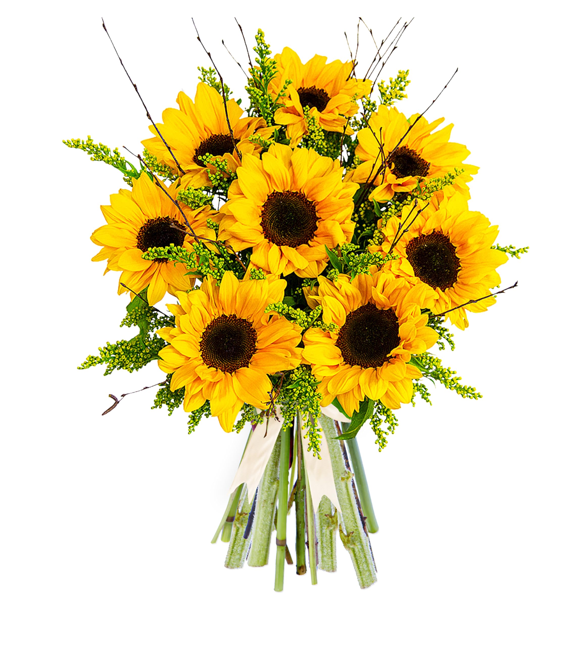 Sensational Sunflowers – Fresh Cut Flower Bouquet for Birthdays, Anniversaries, or Thank You Gifts – Bright and Cheerful Floral Surprise (Medium)
