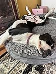 Review Image by Sabine S. McWane