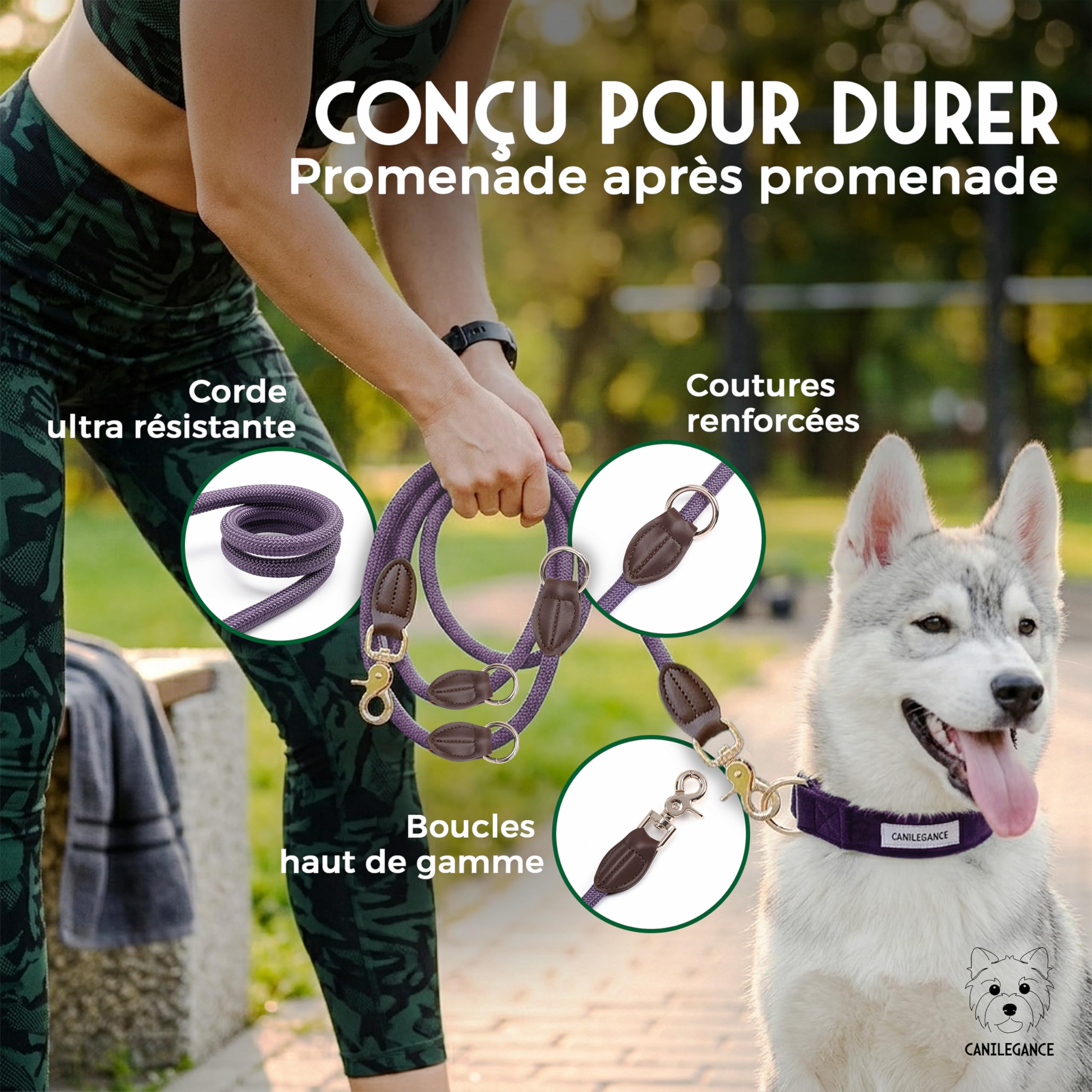 Set de Promenade pour Chien Collier Réglable Laisse 4-en-1 Porte-Sachet Violet Taille L Tour de Cou 39-59 cm Lavable en Machine