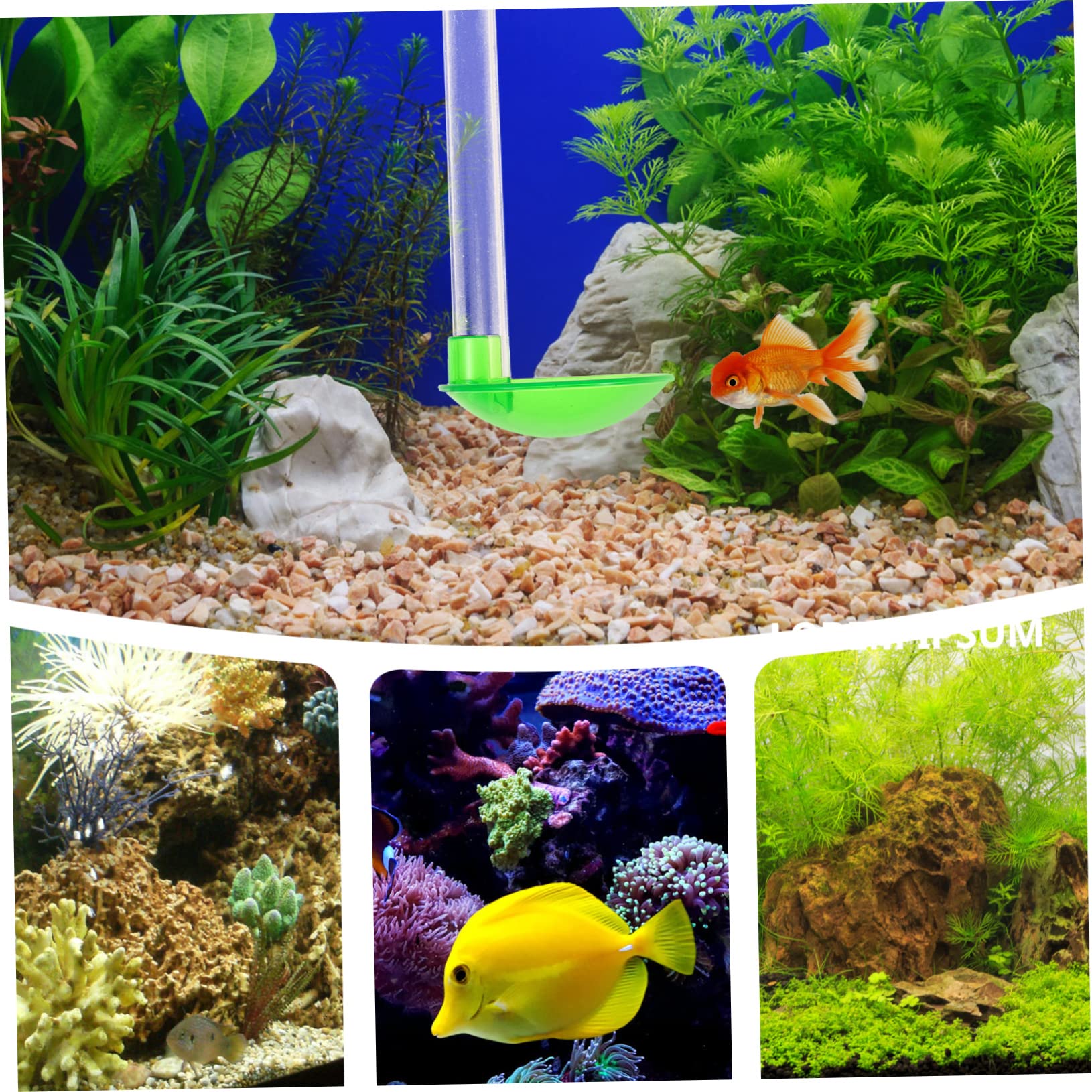 POPETPOP 3juegos Alimentador De Camarones para Acuario Transparente Accesorio Multifuncional De Acuario Fácil Instalación y Limpieza Material Duradero